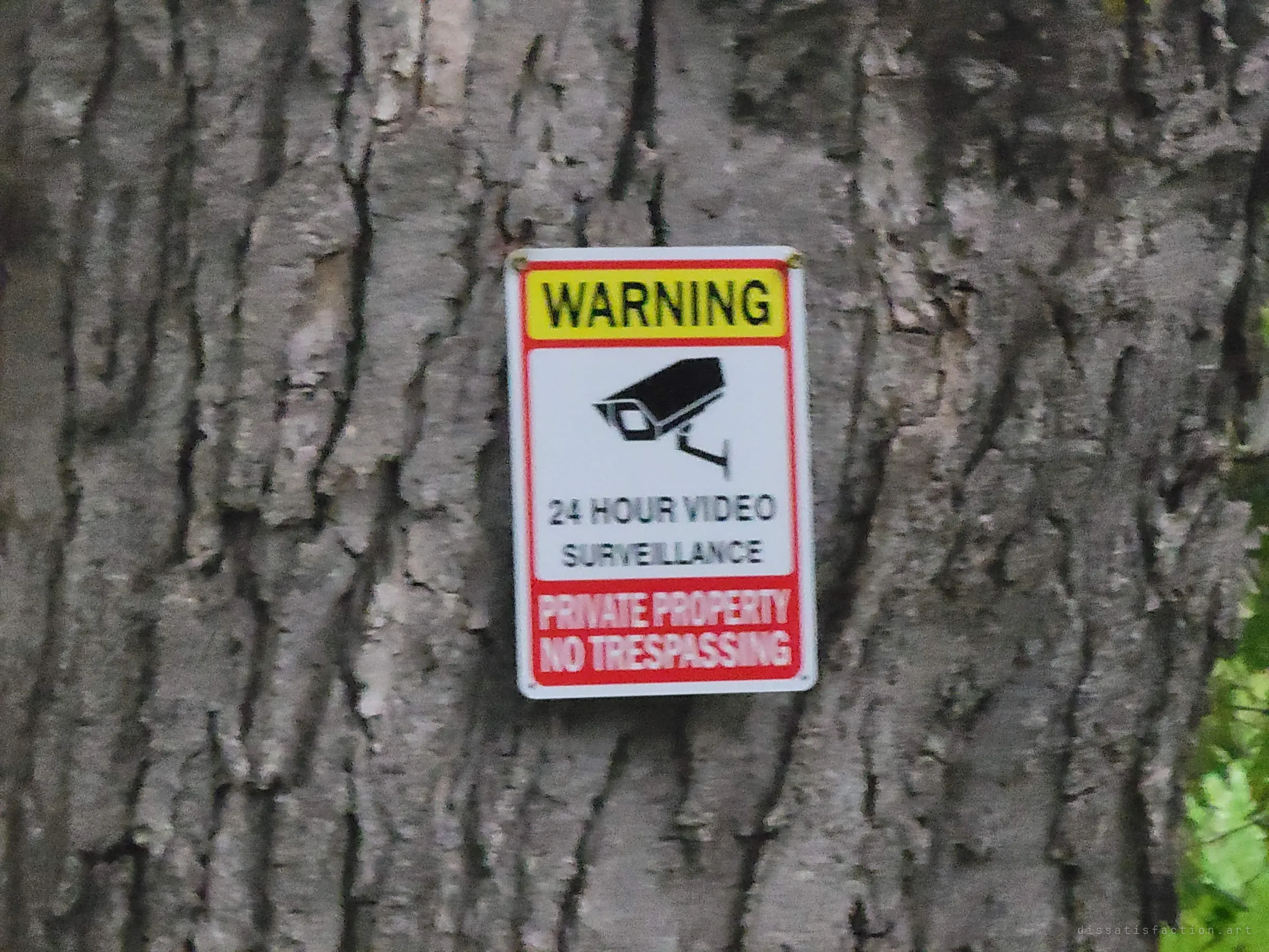 A video-surveillance and no-trespassing sign screwed into thick tree bark.