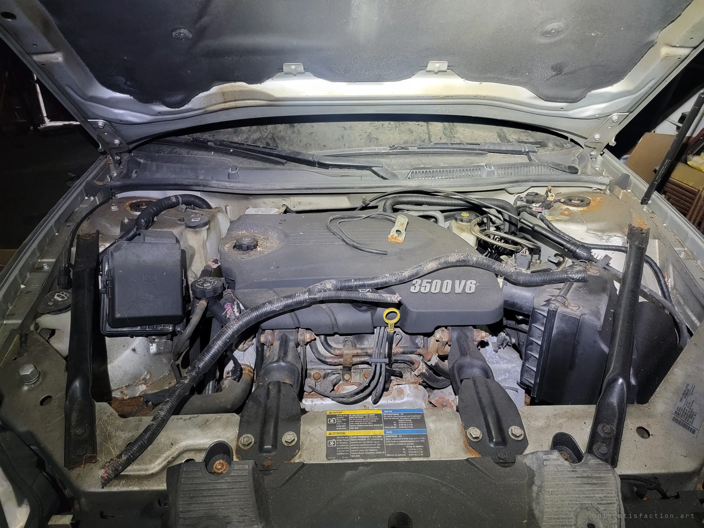 The open engine bay of the abandoned sedan, its V6 cover dusty and a chewed wiring harness hanging loose. Signs that animals have moved in where the owner left off.