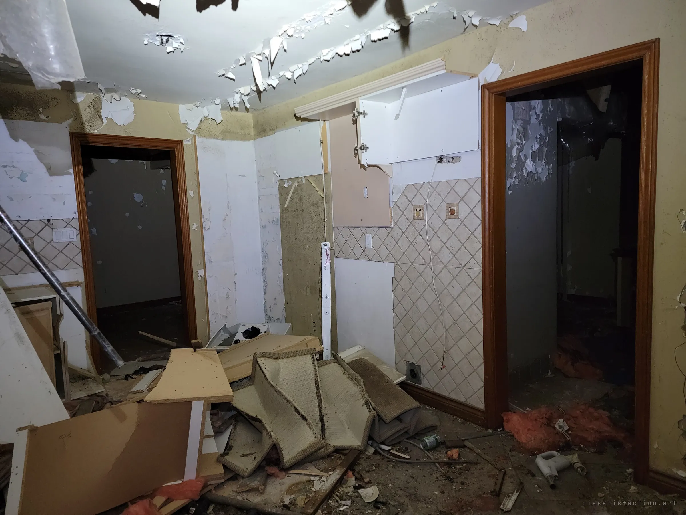 A gutted kitchen with torn-down cabinets, rolled carpet and insulation heaped on the floor, and paint peeling off the ceiling. Two dark doorways lead deeper into the house.