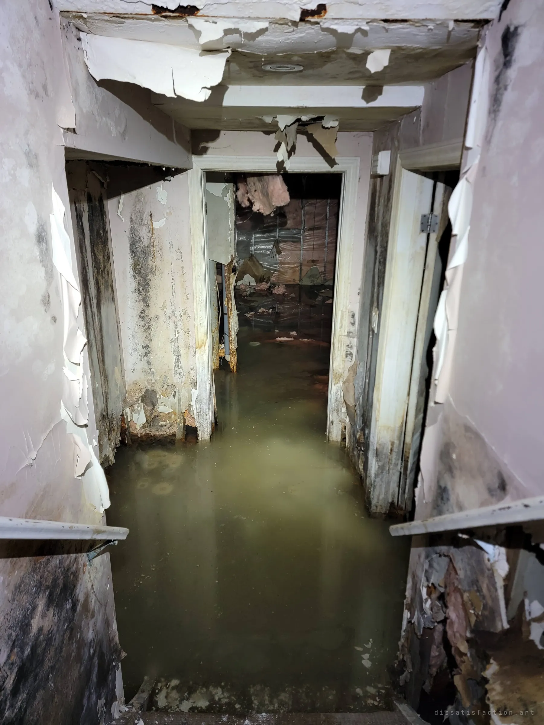 The basement from the bottom of the stairs, flooded with murky green water between mould-streaked, peeling walls. Insulation hangs from the ceiling in the room beyond the doorway.
