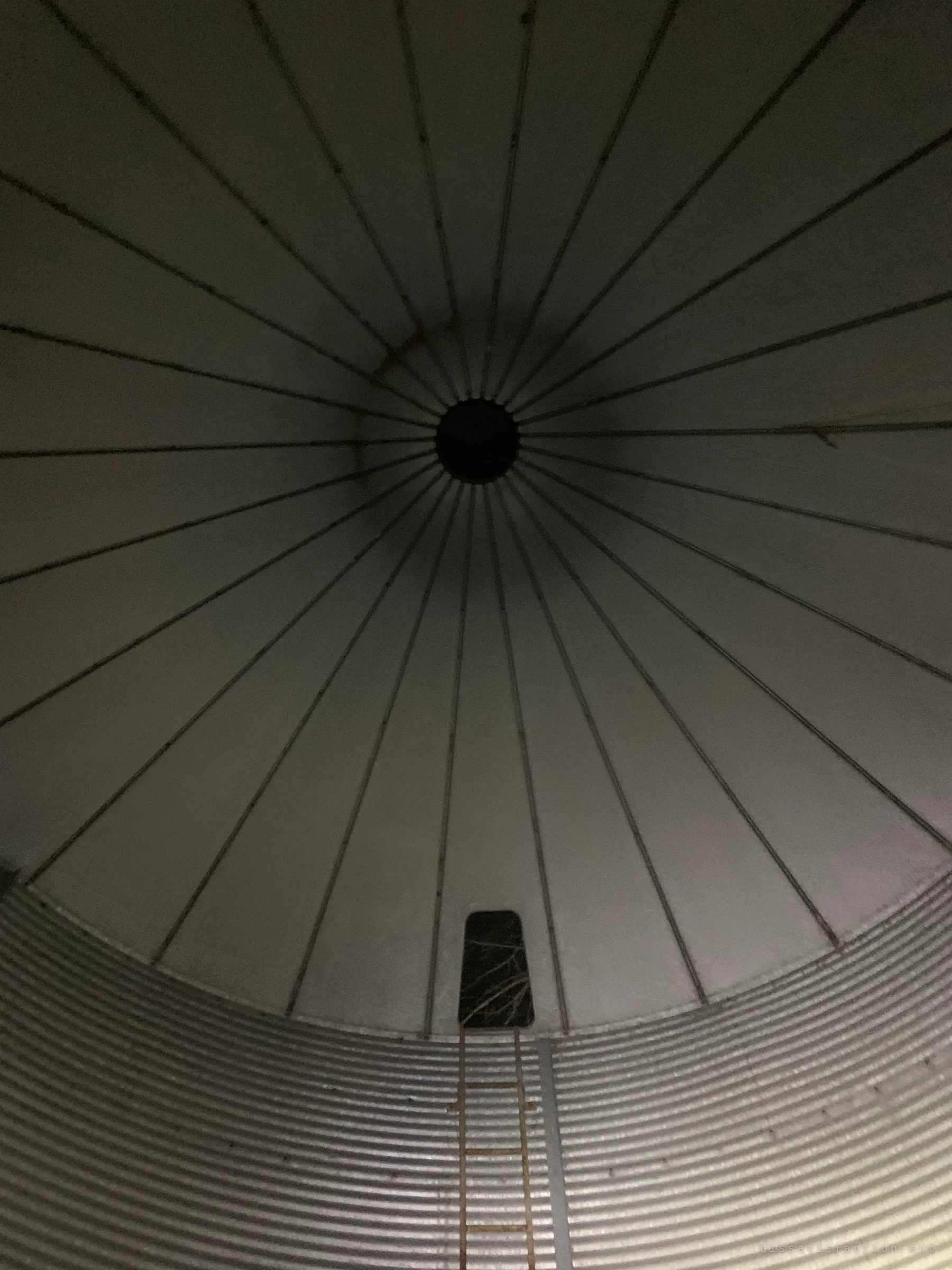 Looking straight up inside a grain bin at its radial roof ribs converging on a round opening, with a ladder leading to a small hatch. The geometry makes the empty bin feel like a cathedral.
