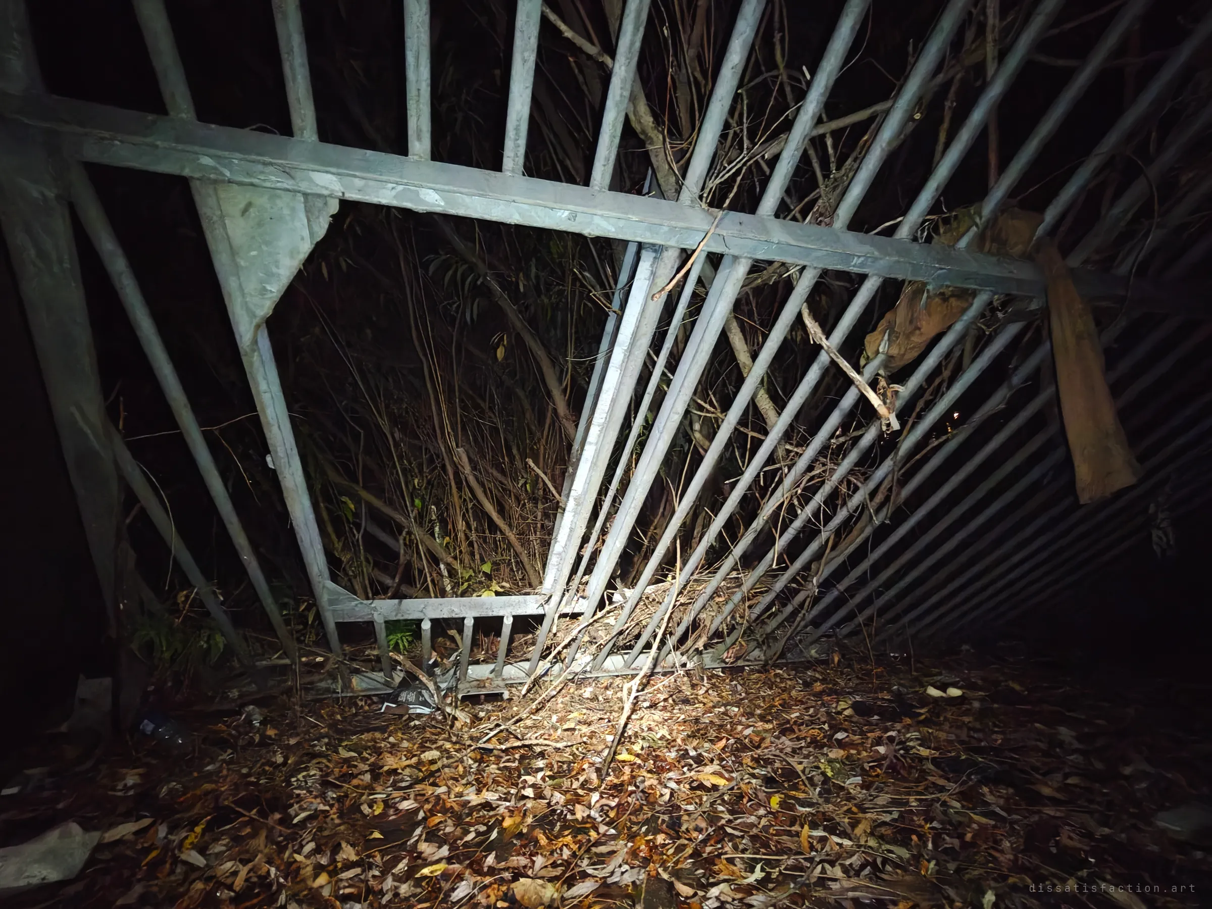 A heavy galvanised steel grille bent and torn open at the drain's entrance, its bars splayed over a bed of dead leaves with scrub pushing through. A rag hangs from the crossbar, caught there by past floods.