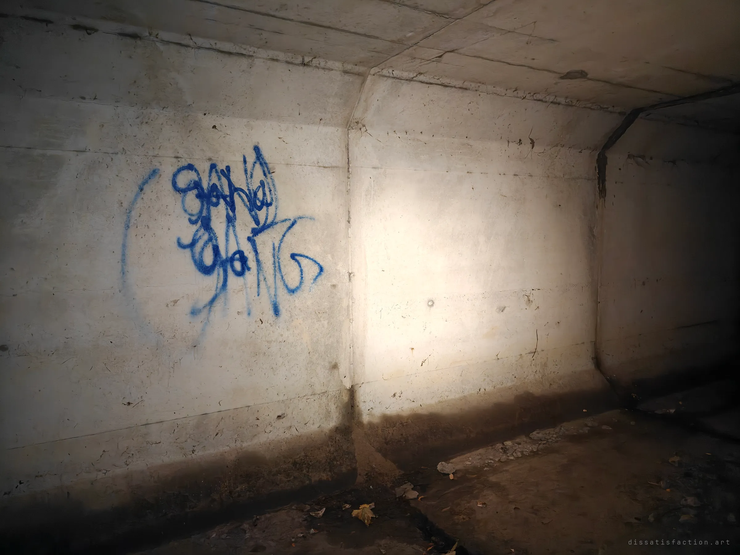 The inside of a concrete box culvert, its pale walls lit by a flashlight, with a blue spray-painted tag on the left and a dark tar-sealed joint running across the ceiling. Dry leaves and gravel sit on the floor where the box turns into darkness.