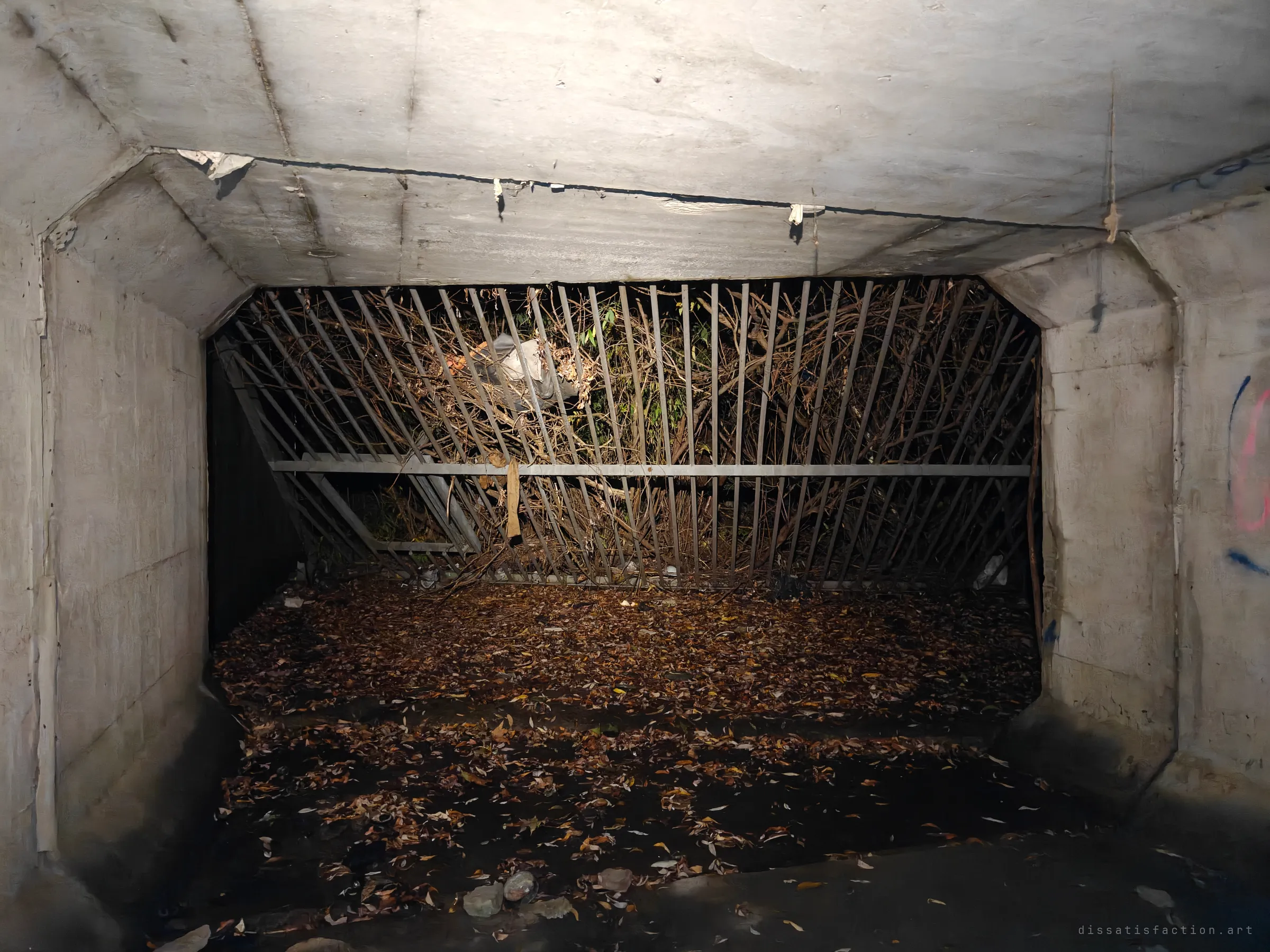 Looking out from inside a concrete box culvert towards a slanted steel grate choked with branches and debris, the floor a carpet of wet leaves. Flaking concrete, a cracked ceiling joint and faded graffiti frame the barred way out.
