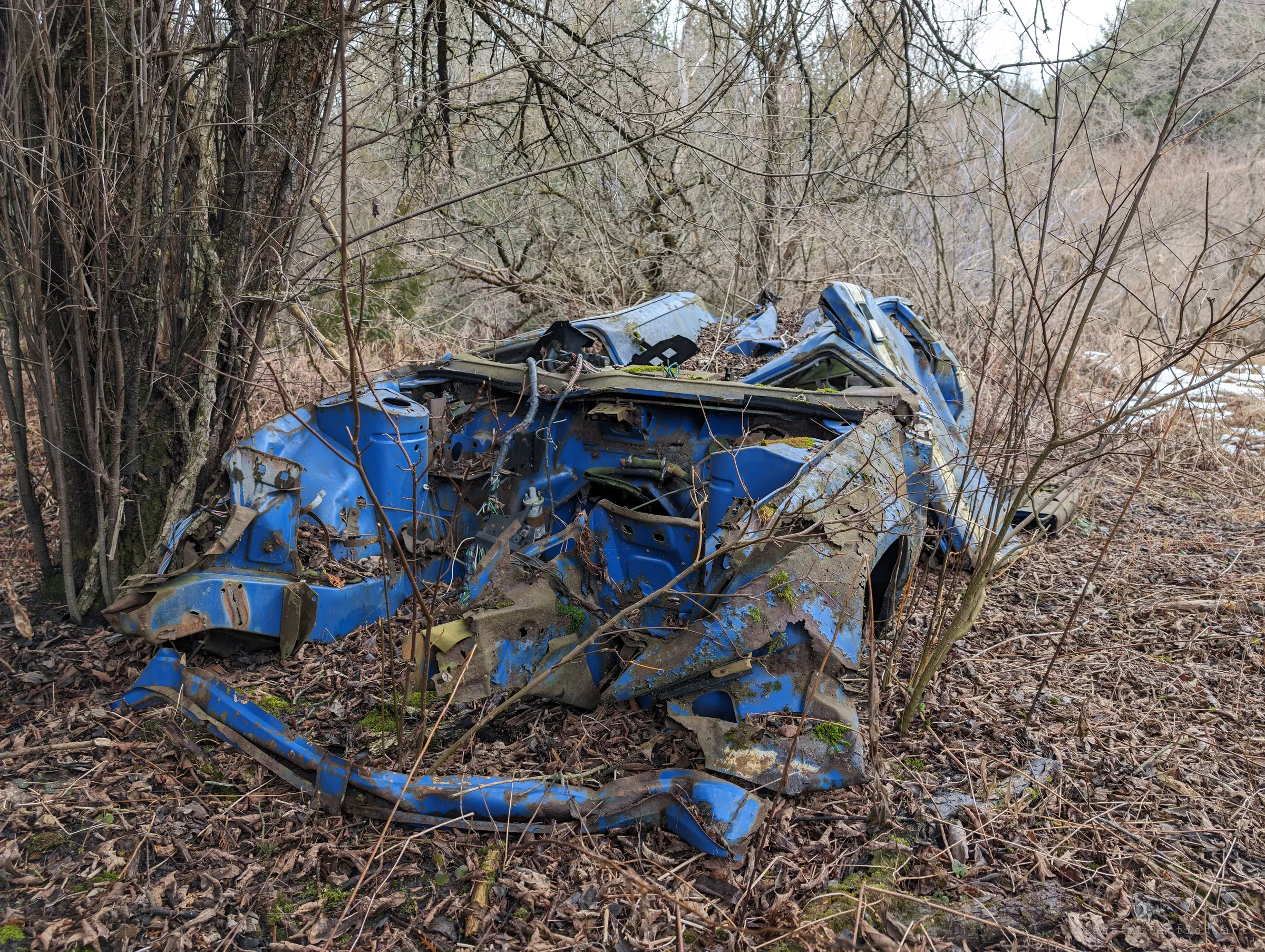 The crumpled front of a blue car sits sunk in dead leaves among bare saplings, its engine bay stripped to rusted metal and loose wiring. Patches of snow linger in the brush behind it.