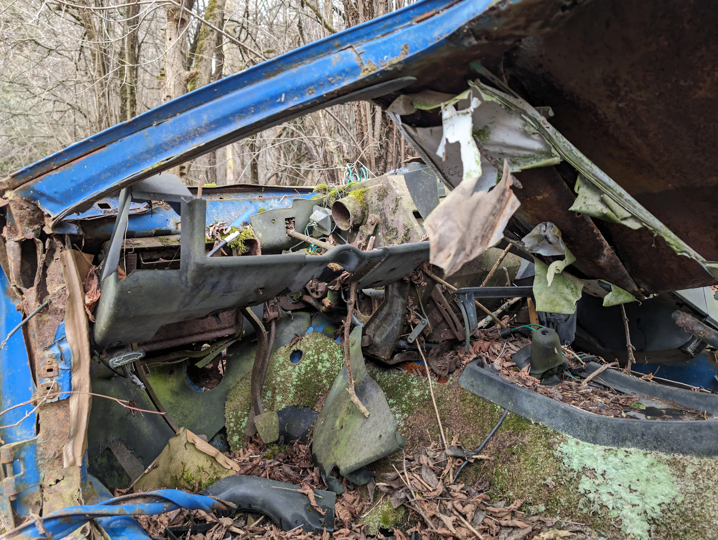 Looking into the gutted cabin through the bent windshield frame: a bare dashboard, pedals and a moss-covered floor littered with leaves. Shreds of headliner hang from the roof.
