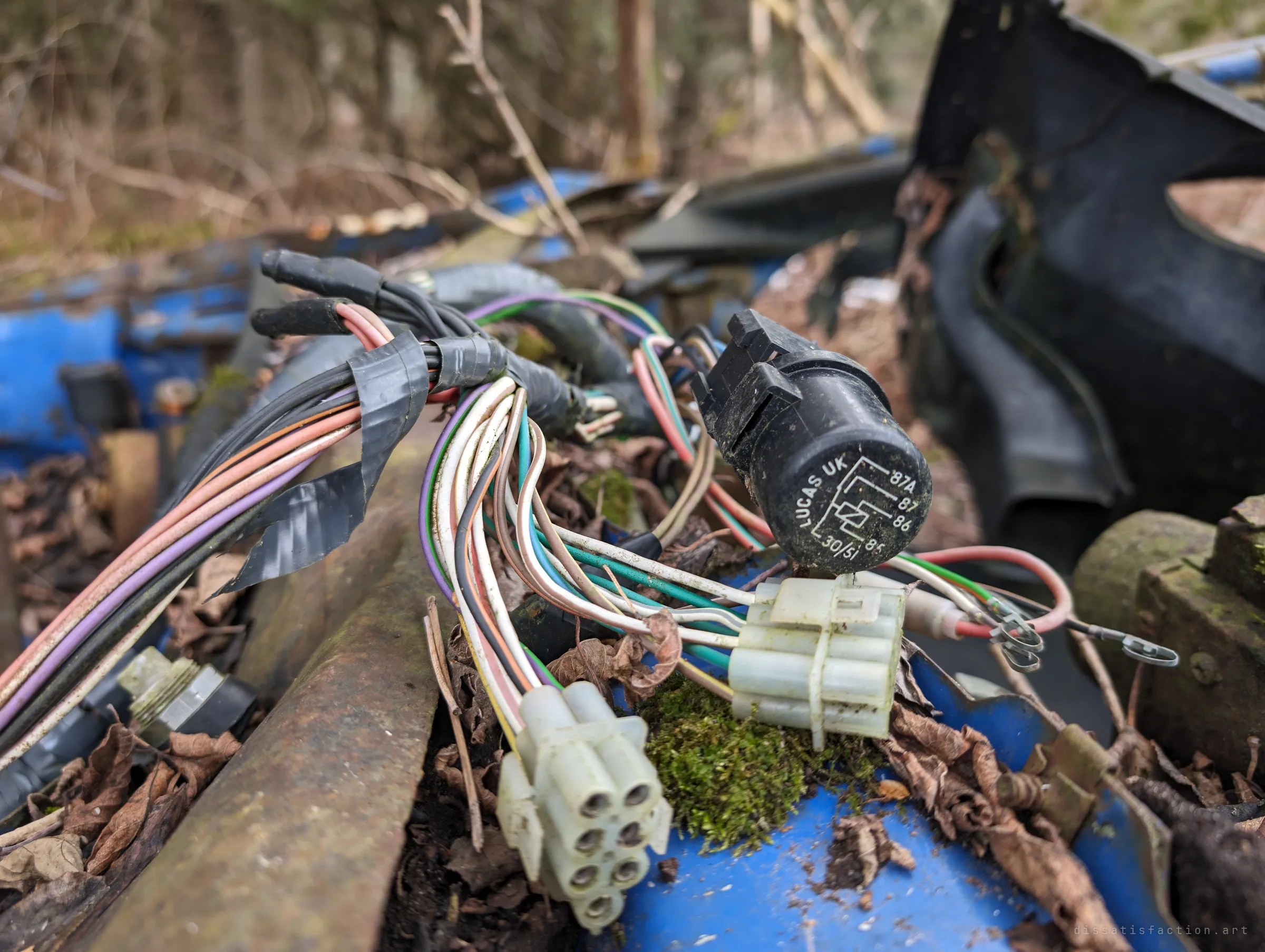 Close-up of a tangle of coloured wires, white plug connectors and a black relay lying on moss and leaves in the wreck. The loose harness shows how completely the car has been pulled apart.
