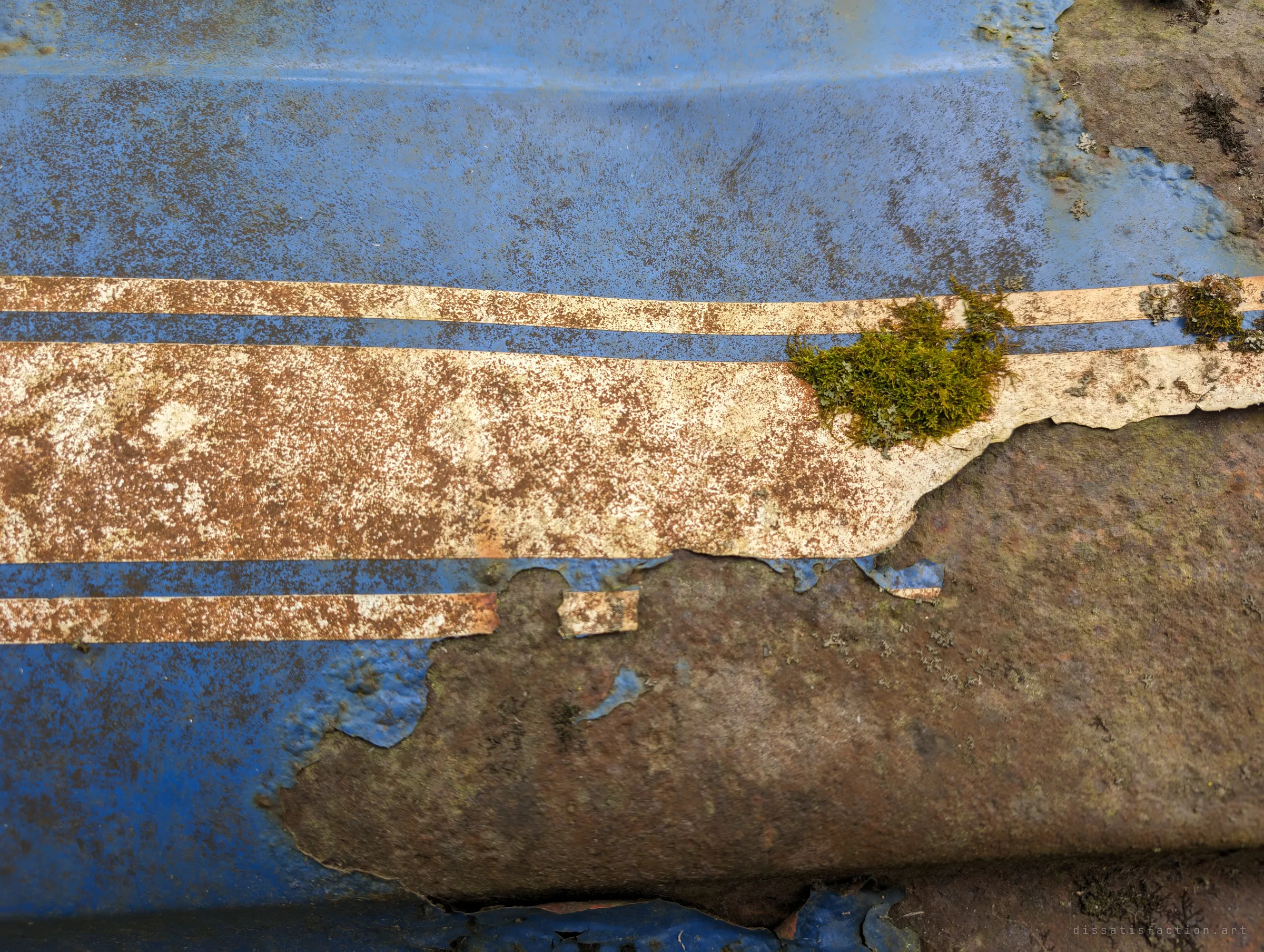 Detail of cream racing stripes peeling off blue paint, with bare brown rust spreading below and a tuft of moss on the stripe. Decades outdoors have turned the bodywork into texture.