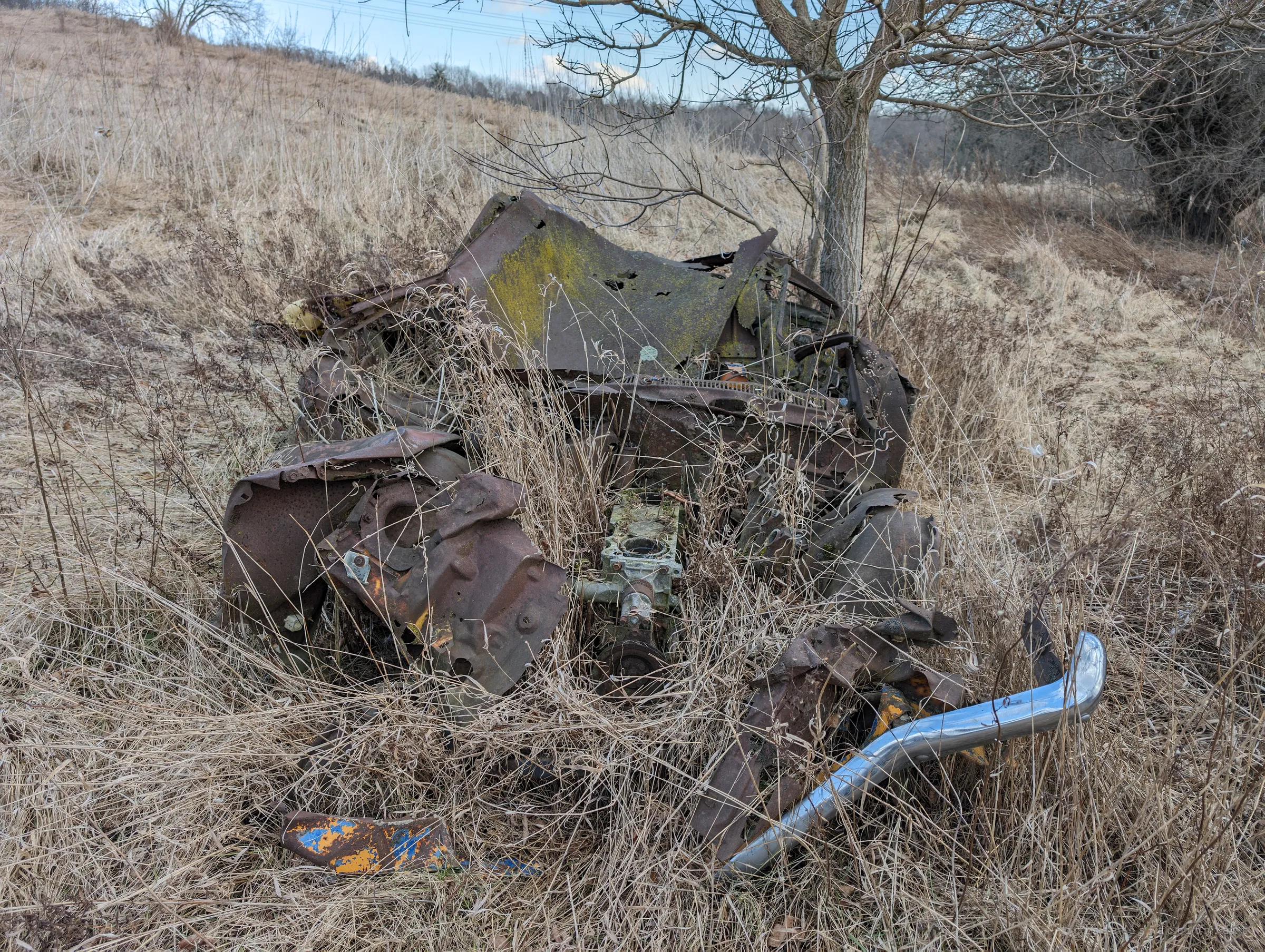 The crumpled, rust-brown wreck of an old car lies half swallowed by dry winter grass beneath a bare tree, a chrome bumper twisting out of the heap. Decades of weather have flattened it back into the hillside.