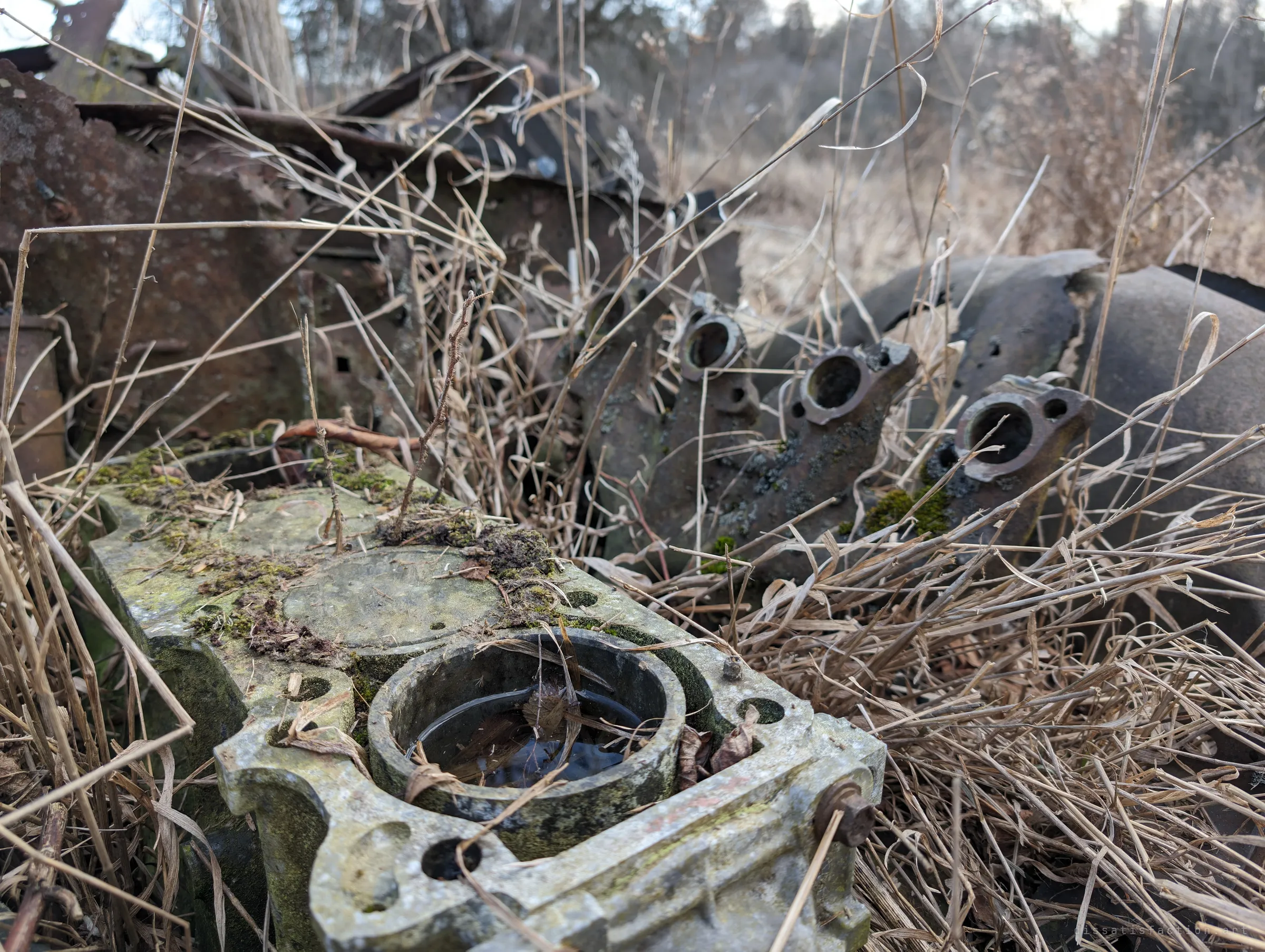 A moss-covered engine block sits in the grass with rainwater pooled in an open cylinder, while a row of rusted exhaust ports rises behind it. The mechanical heart of the car is slowly turning into ground cover.