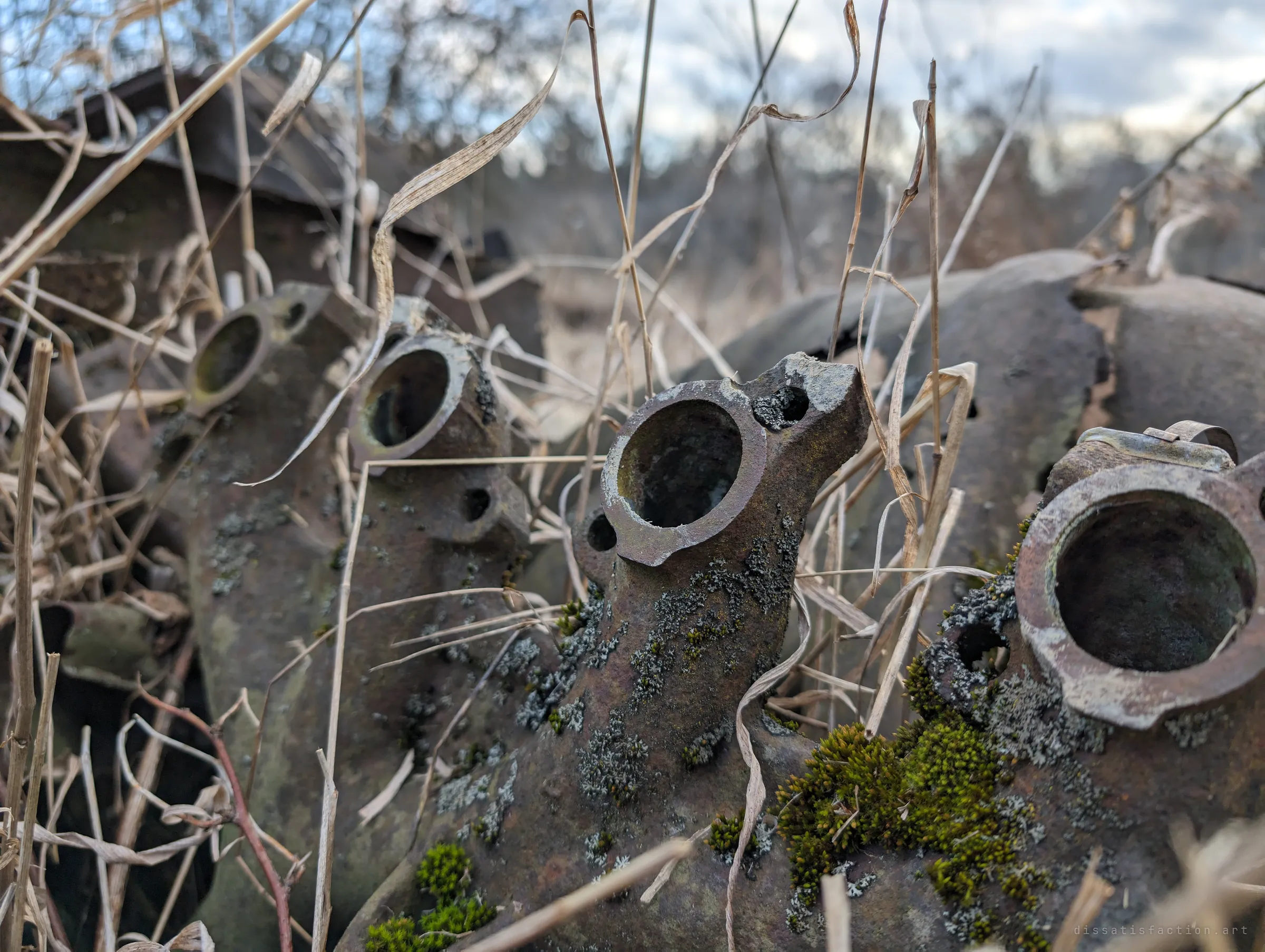 Close-up of rusted exhaust manifold ports poking up through dry grass, crusted with lichen and bright green moss. The round openings look almost like open mouths.