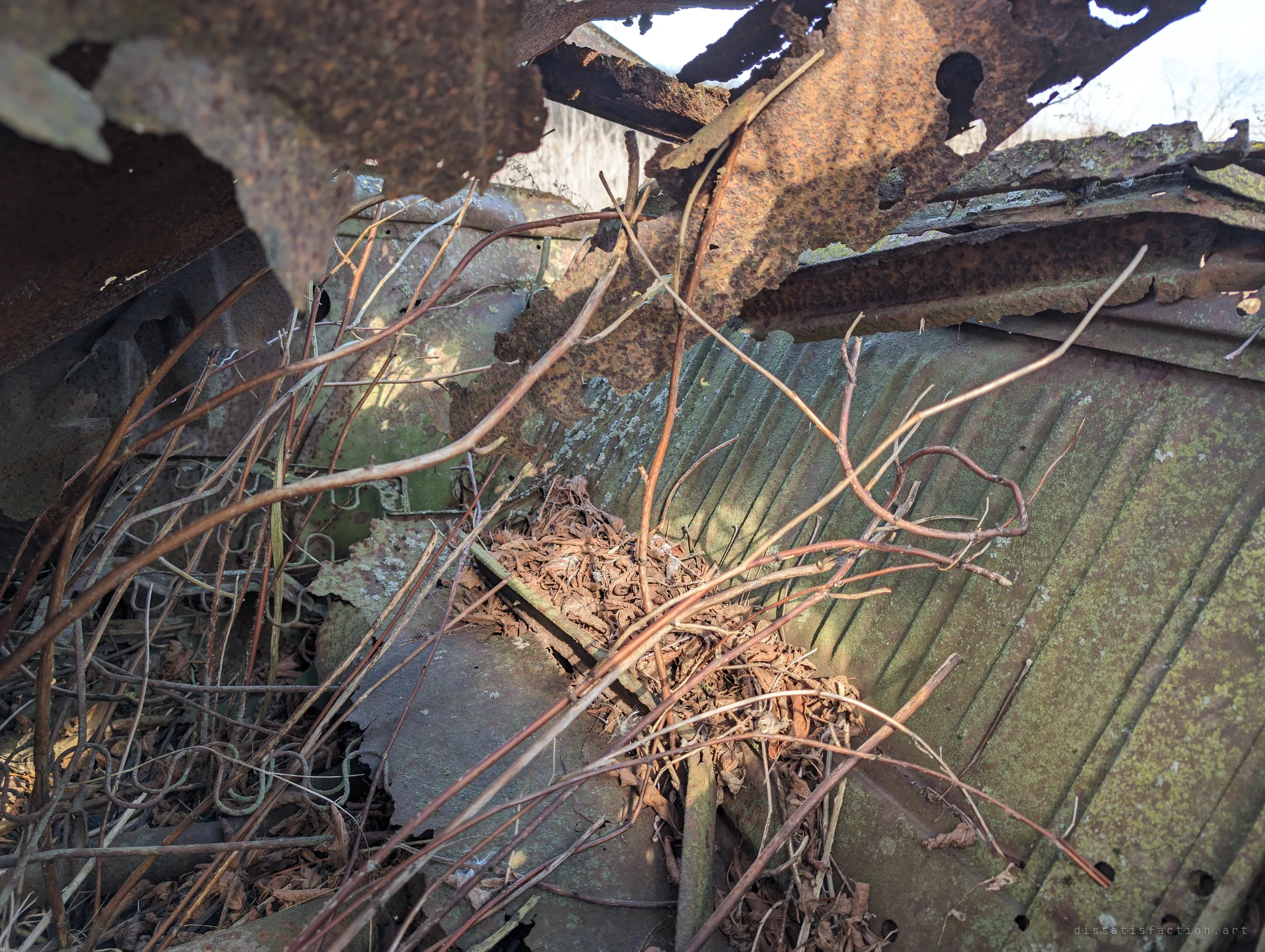 Inside the collapsed cabin, rust-eaten roof metal hangs over exposed seat springs and a ribbed green panel, with a nest of dead leaves caught in the middle. Sunlight leaks through the holes in the roof.