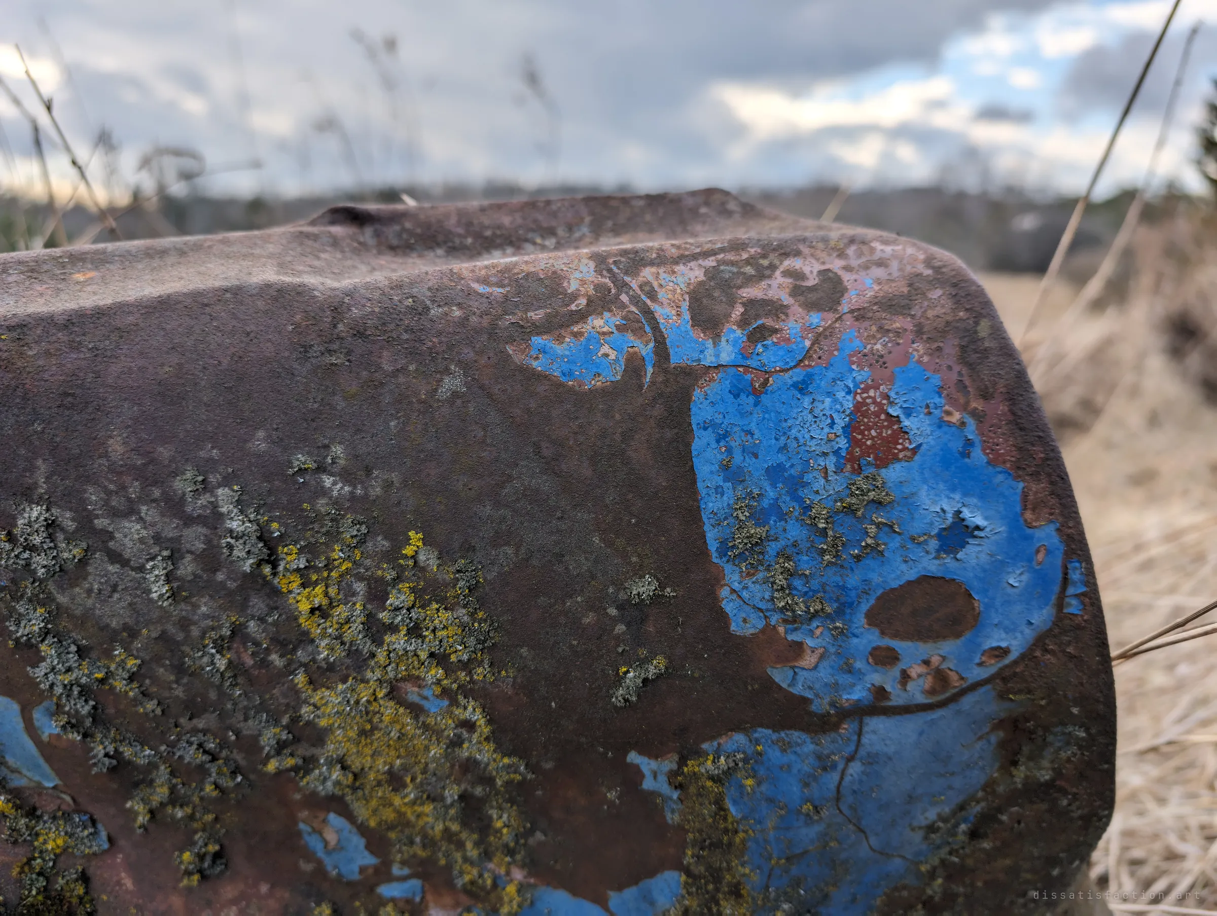A rusted steel panel with patches of peeling blue paint and yellow lichen fills the frame against a grey, cloudy sky over a blurred open field. The last traces of the car's colour are flaking away.