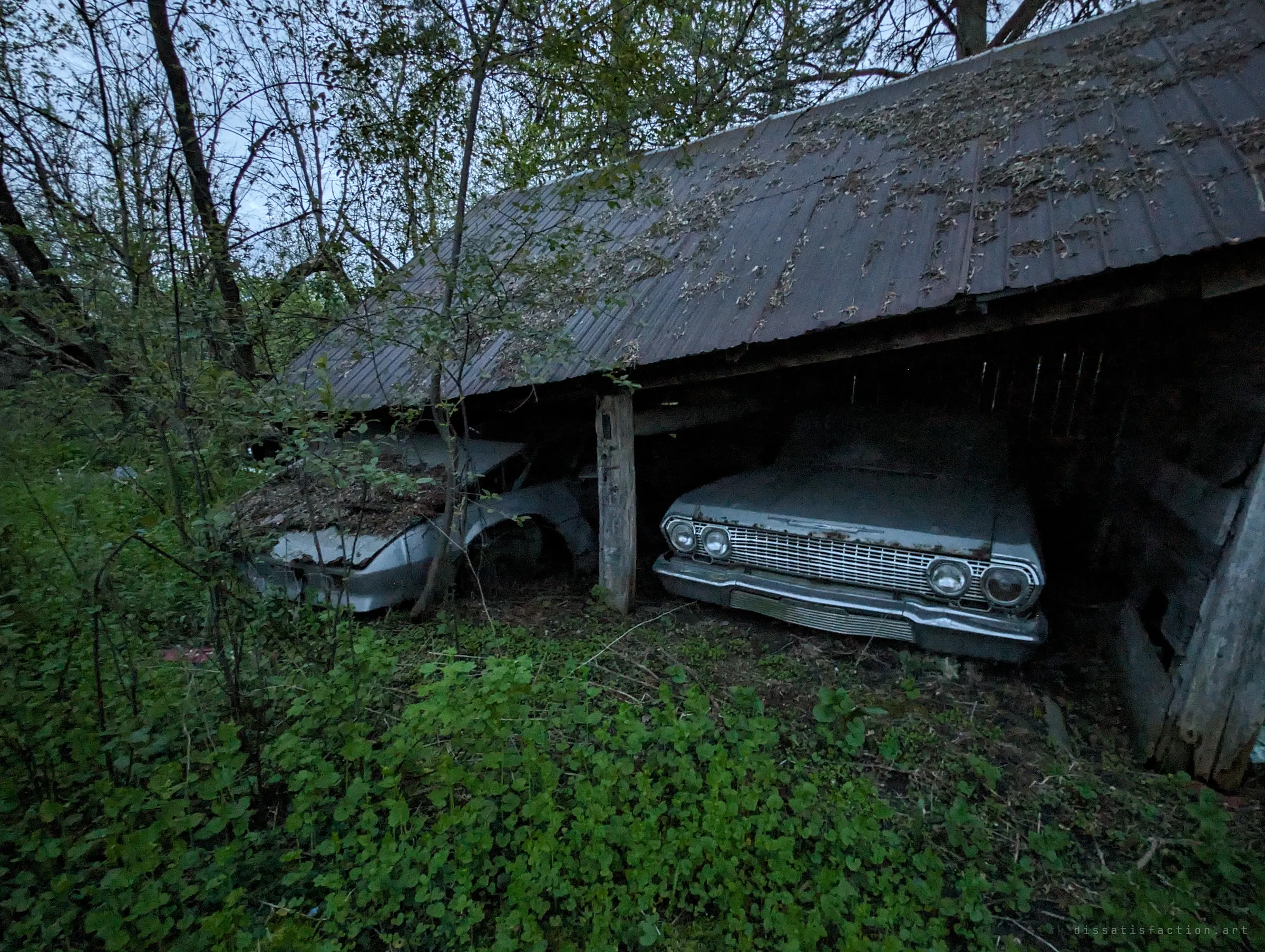 Two old cars shelter under a sagging tin-roofed lean-to swallowed by brush, the right one a chrome-grilled 1960s sedan. The shed barely holds back the growth creeping over them.