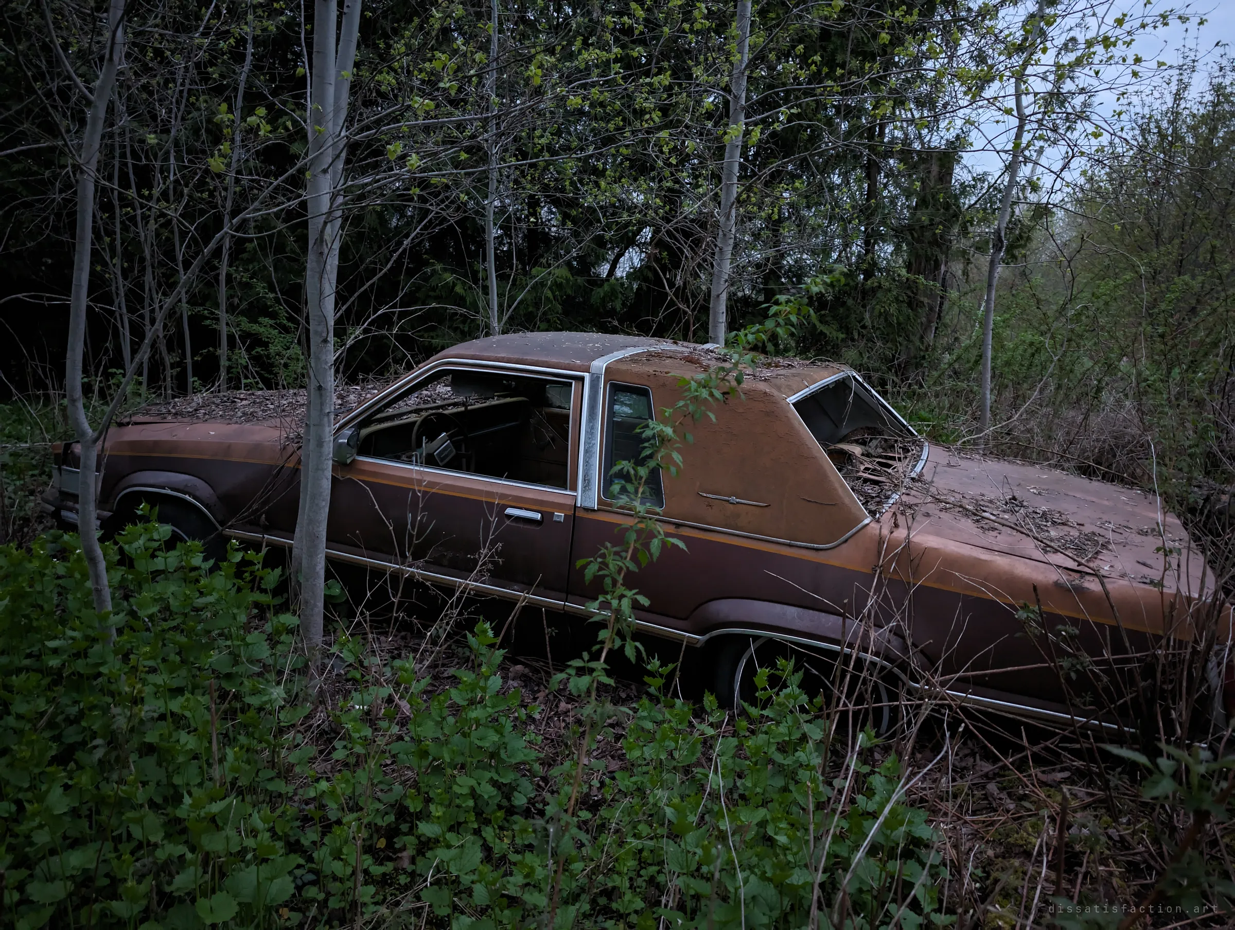 A brown 1980s coupe with a formal roofline sits in dark woods under a layer of fallen leaves, saplings pressing against its doors. The forest has almost reclaimed it.