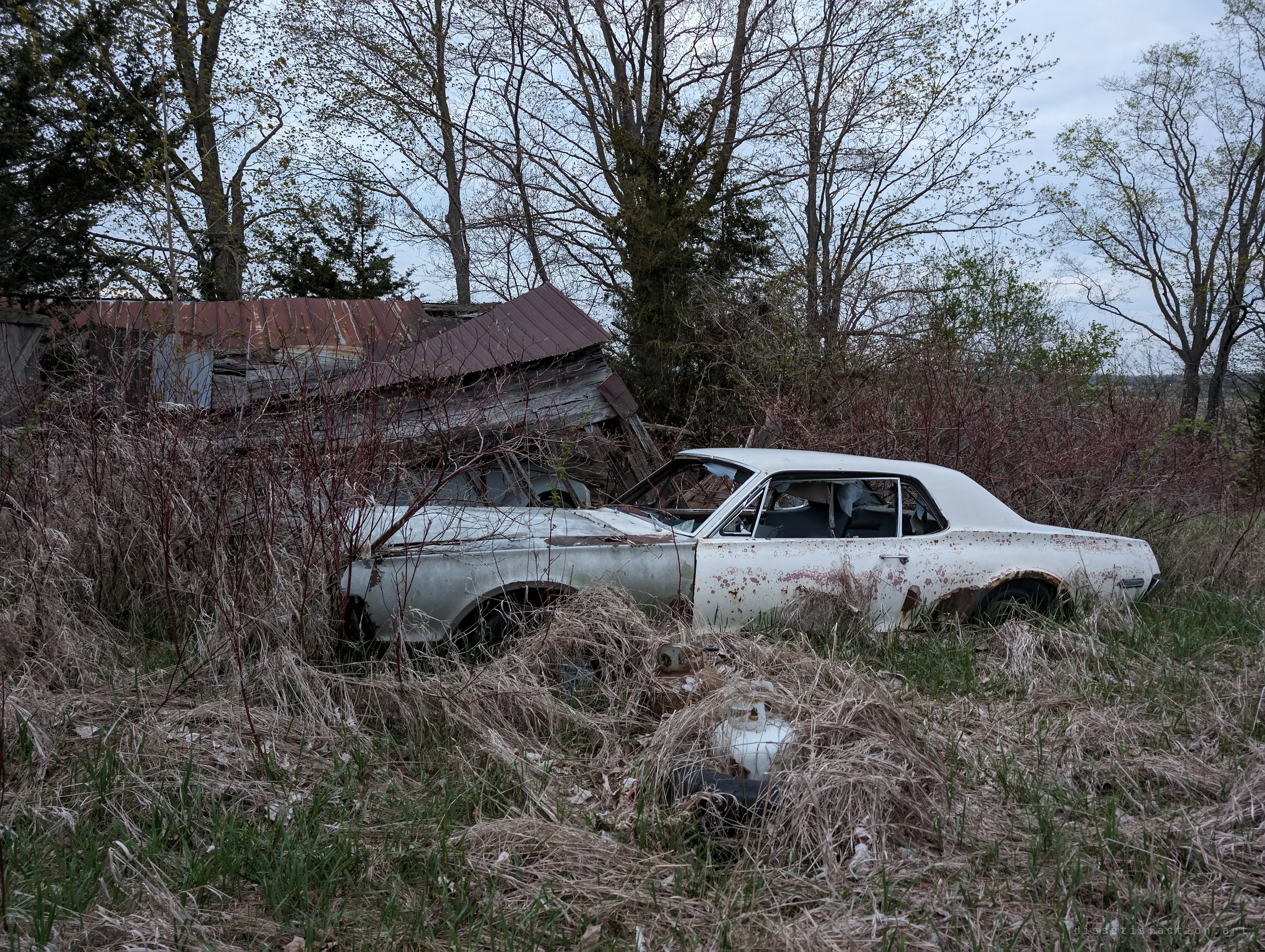 A white 1960s coupe with rust freckles sits in dry grass in front of a collapsed wooden shed with a rusted tin roof. The fallen building and the car decay side by side.
