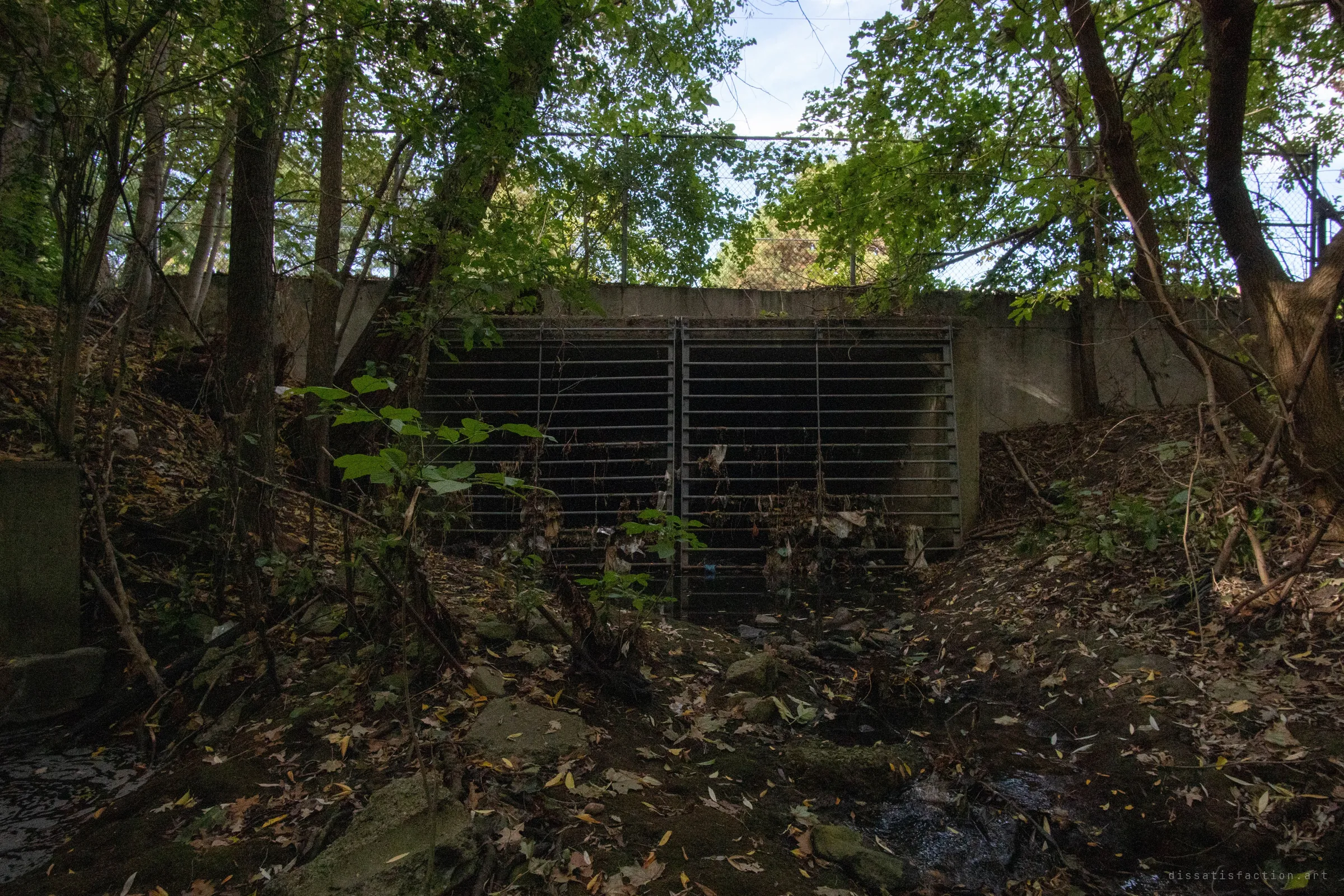 A concrete headwall with a double steel trash rack, choked with leaves and debris, sits at the bottom of an overgrown wooded ravine. Water trickles out over mossy stones, under a chain-link fence and the tree canopy.