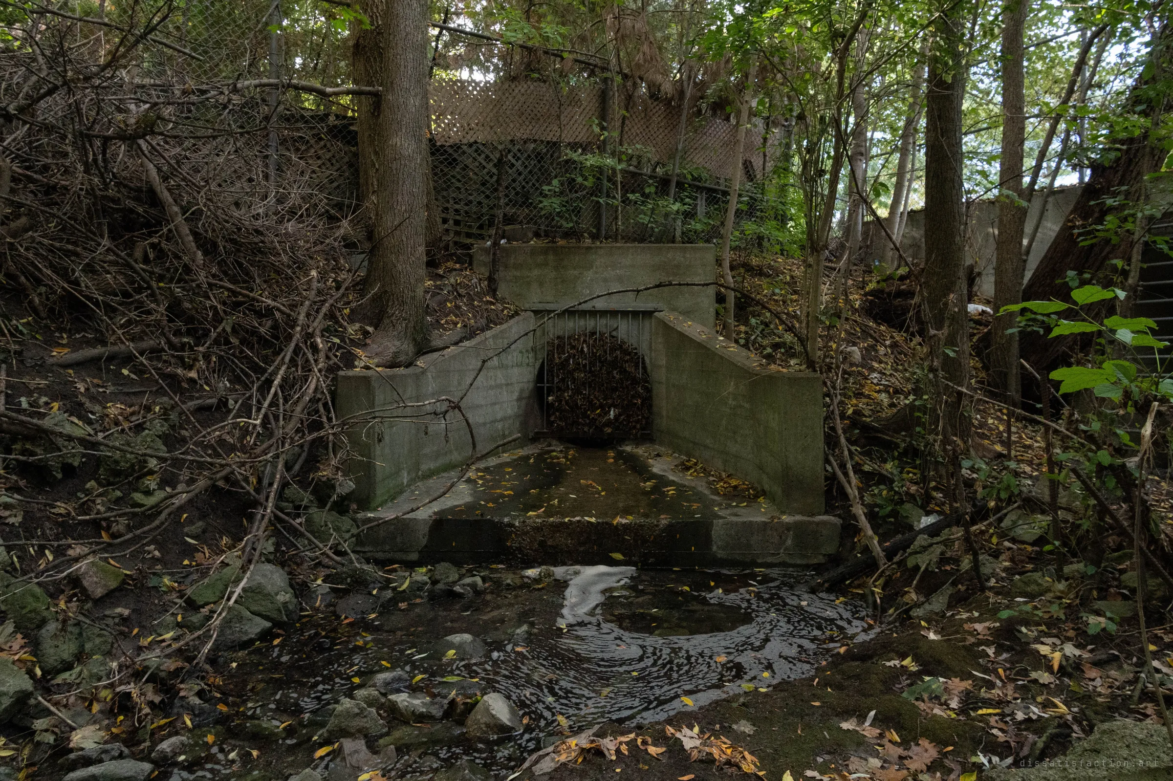 A concrete headwall in a wooded ravine, its barred grate packed solid with fallen leaves above a shallow, swirling pool. The way in sits hidden just below a row of backyard fences.