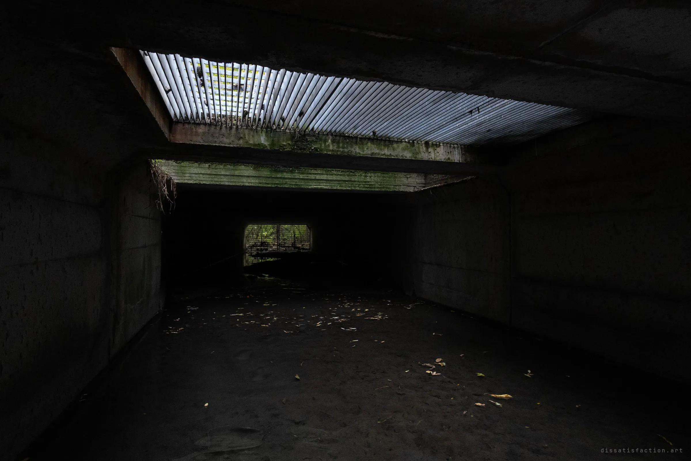 An empty, dark box culvert lies under a rusted overhead grate that lets in cold daylight, with roots hanging from a mossy concrete lintel. A small barred opening at the end of the tunnel frames green foliage beyond.