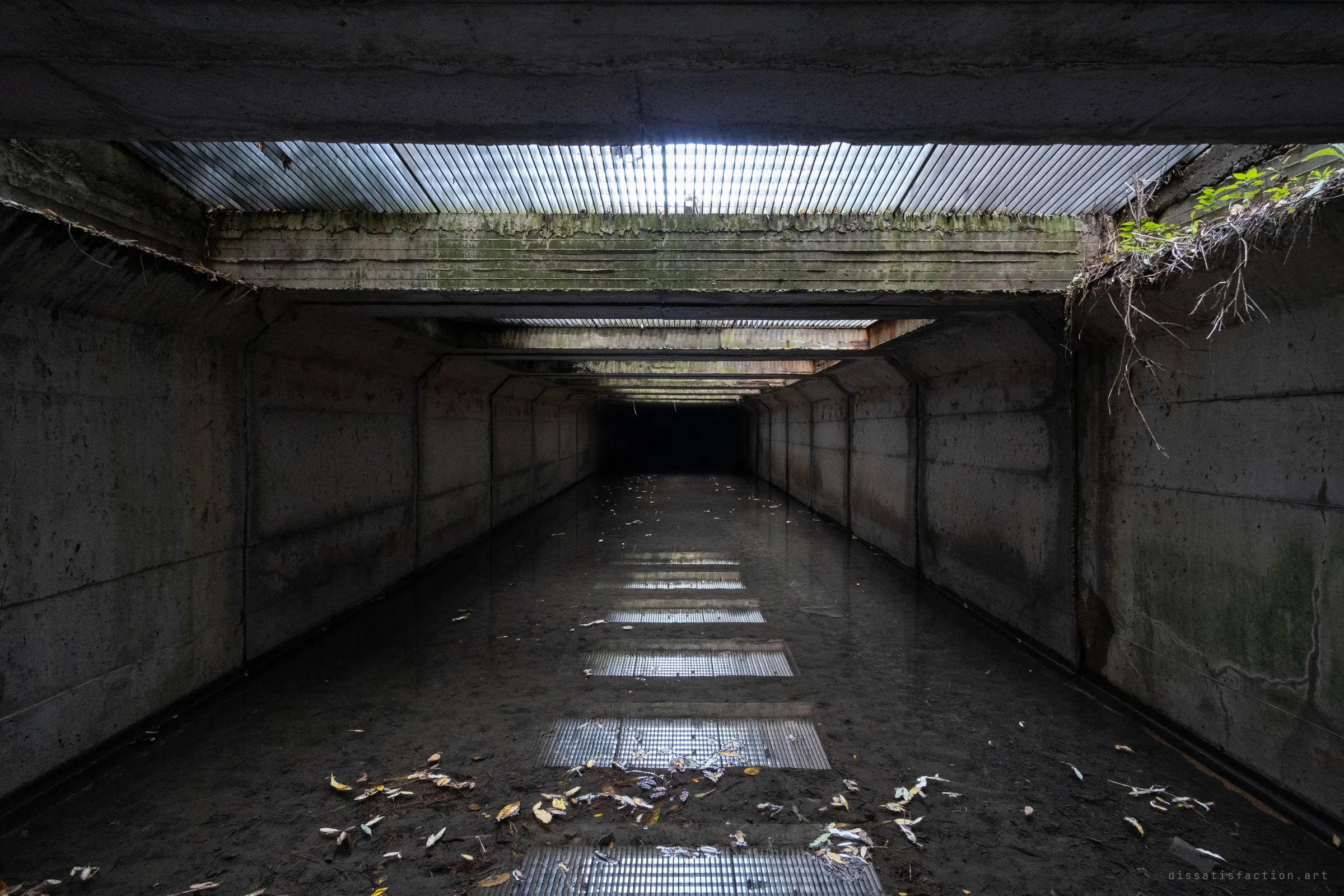 The open mouth of a concrete box culvert. Daylight comes through ribbed skylight panels in the roof and lies in bright stripes on the shallow, leaf-strewn water, then the channel runs straight on into darkness.