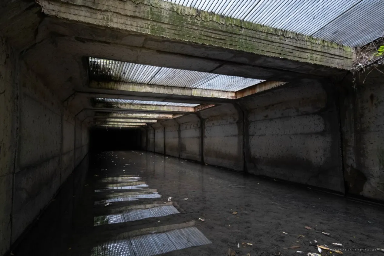 Looking diagonally into the skylit section of a concrete storm drain. Mossy roof beams frame corrugated translucent panels, and their light falls in stripes on the dark standing water.