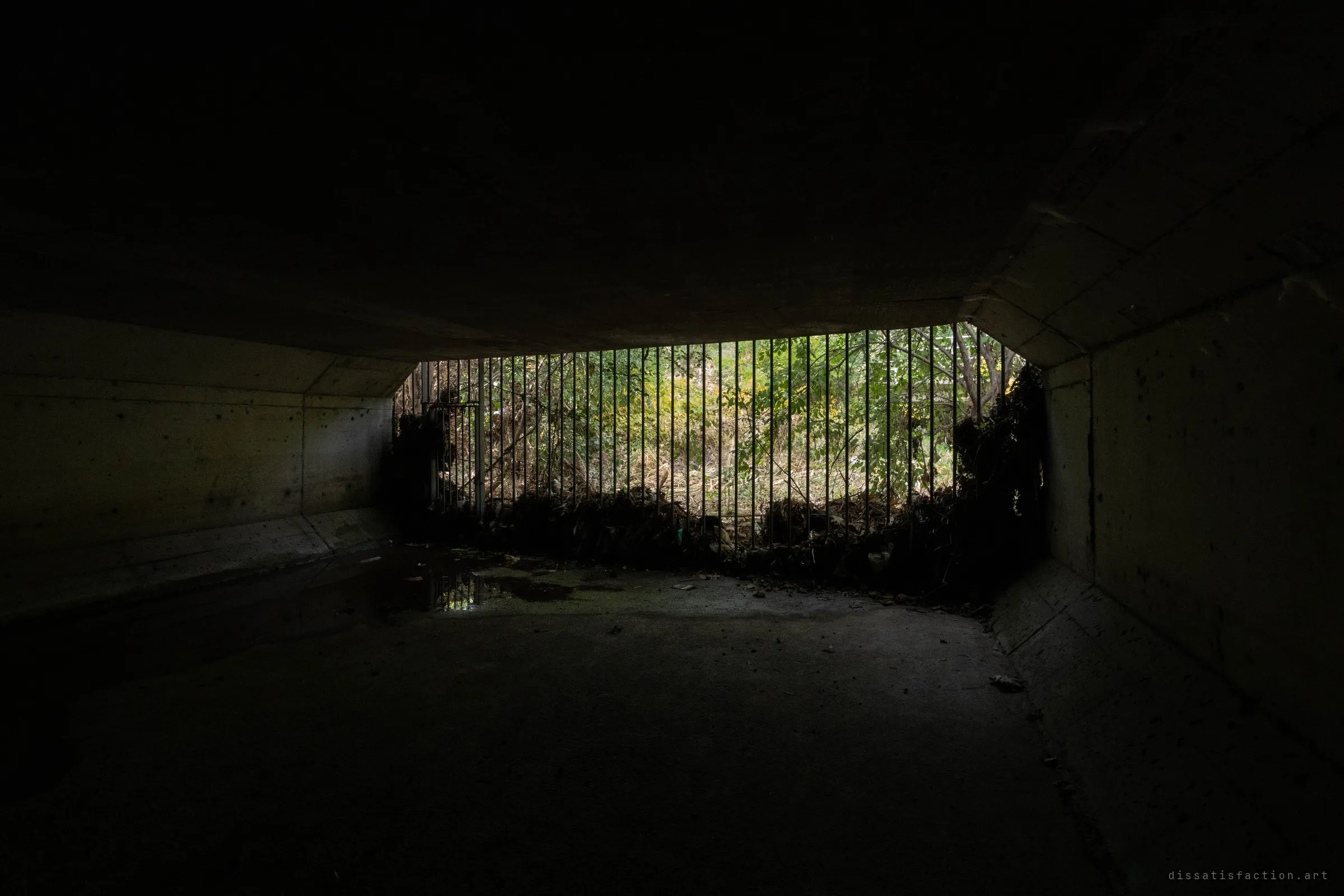 Looking out from inside the dark culvert toward its mouth, where a row of vertical steel bars and a small gate hold back storm debris. Daylight and green trees fill the opening beyond the grate.