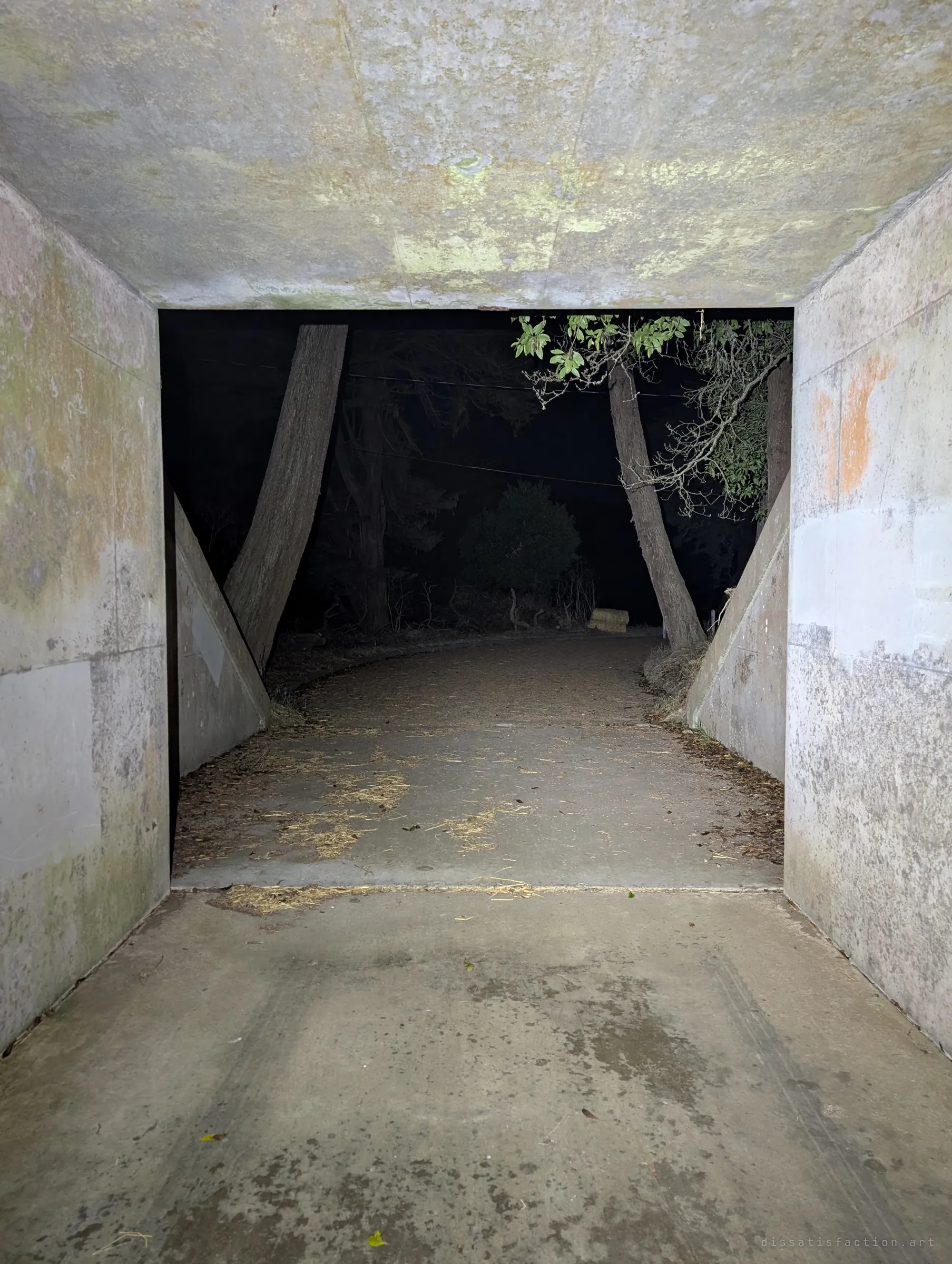 Looking back out of the concrete passage toward a dark dirt road, leaning cypress trunks and a stacked hay bale. The mouth of the tunnel frames the night like a stage.