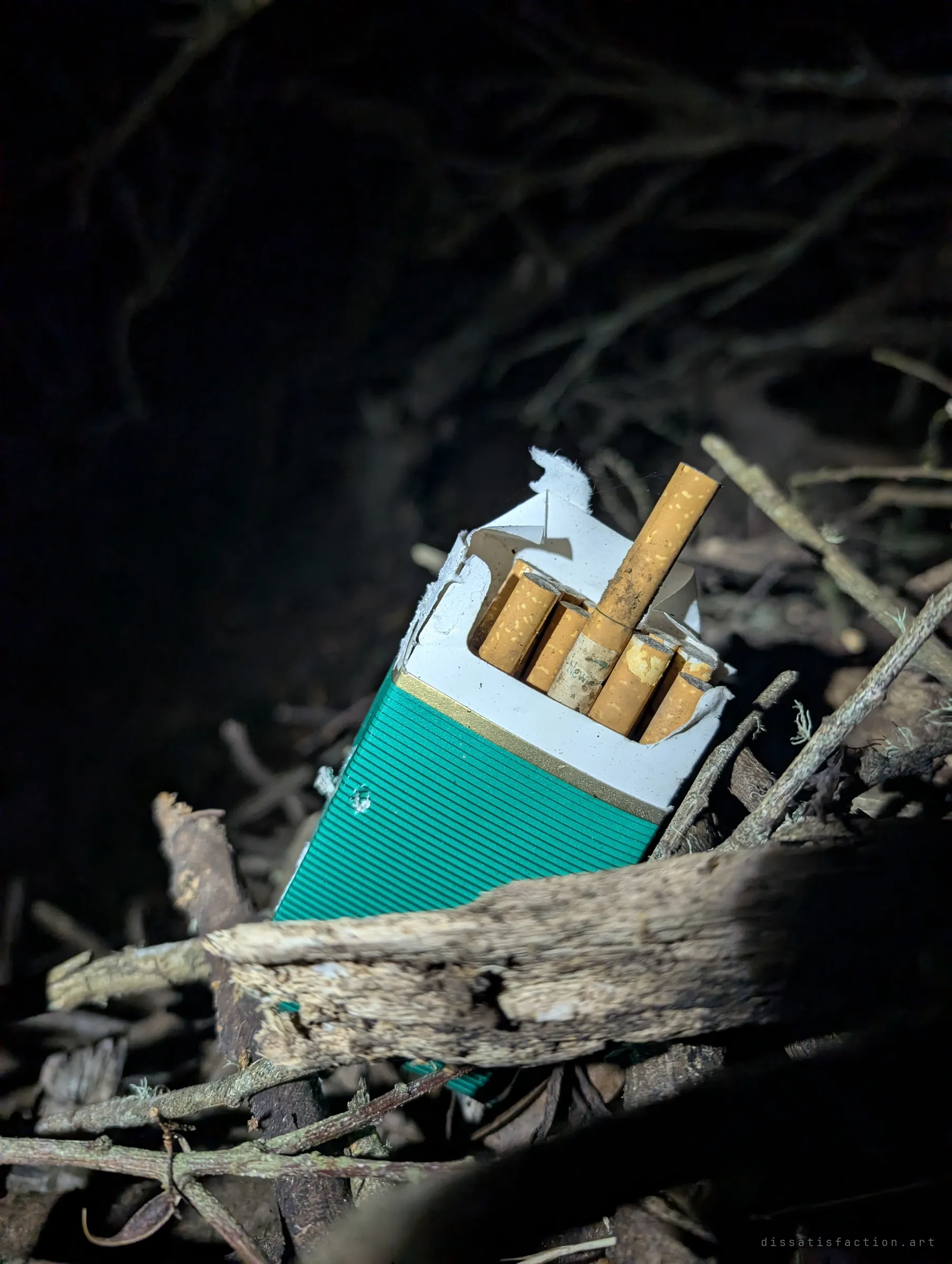A torn-open green cigarette pack lies wedged among dry sticks, a few cigarettes still inside. A small trace of whoever passed through before.