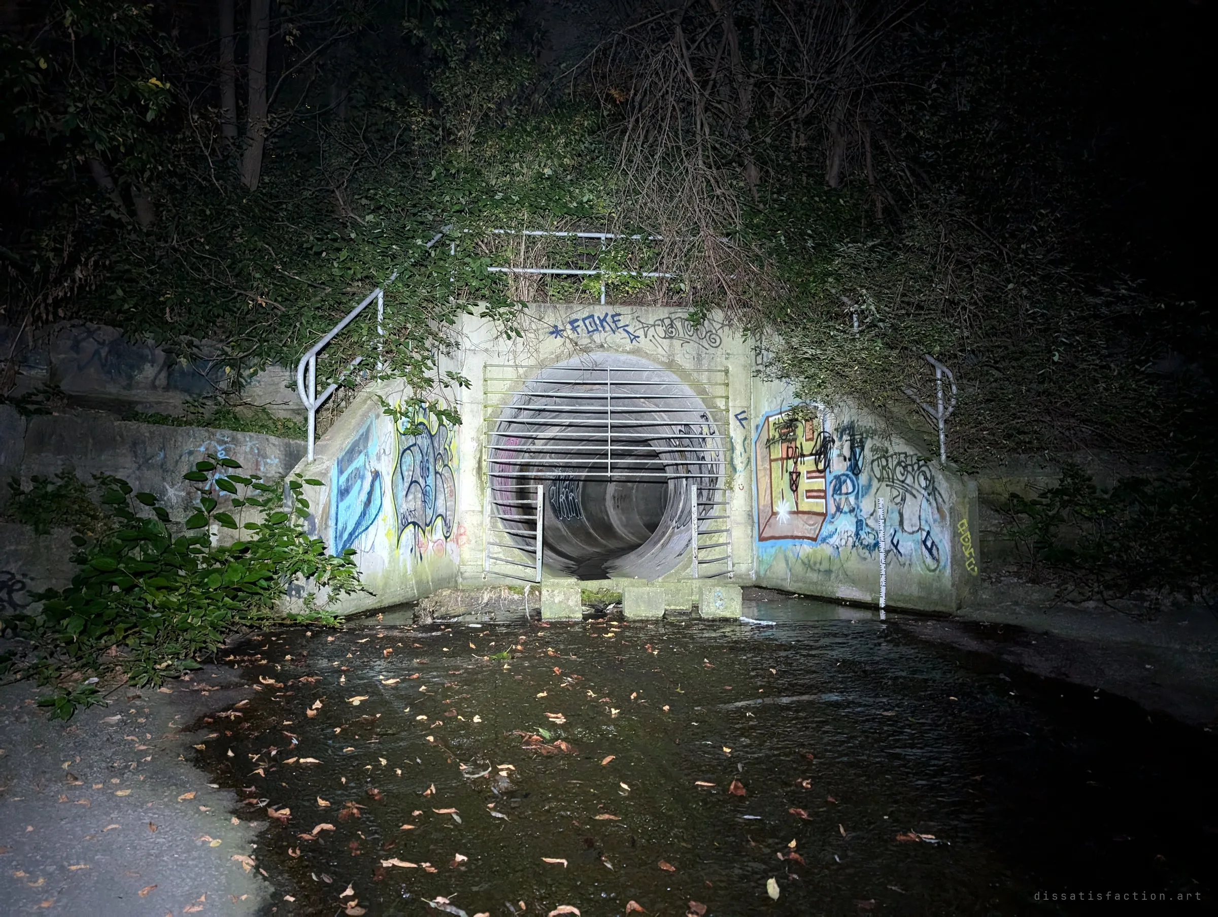 A graffiti-covered concrete outfall at night, its round pipe mouth barred by a steel grate above a shallow leaf-strewn pool. The entrance to the drain, half swallowed by overgrowth.