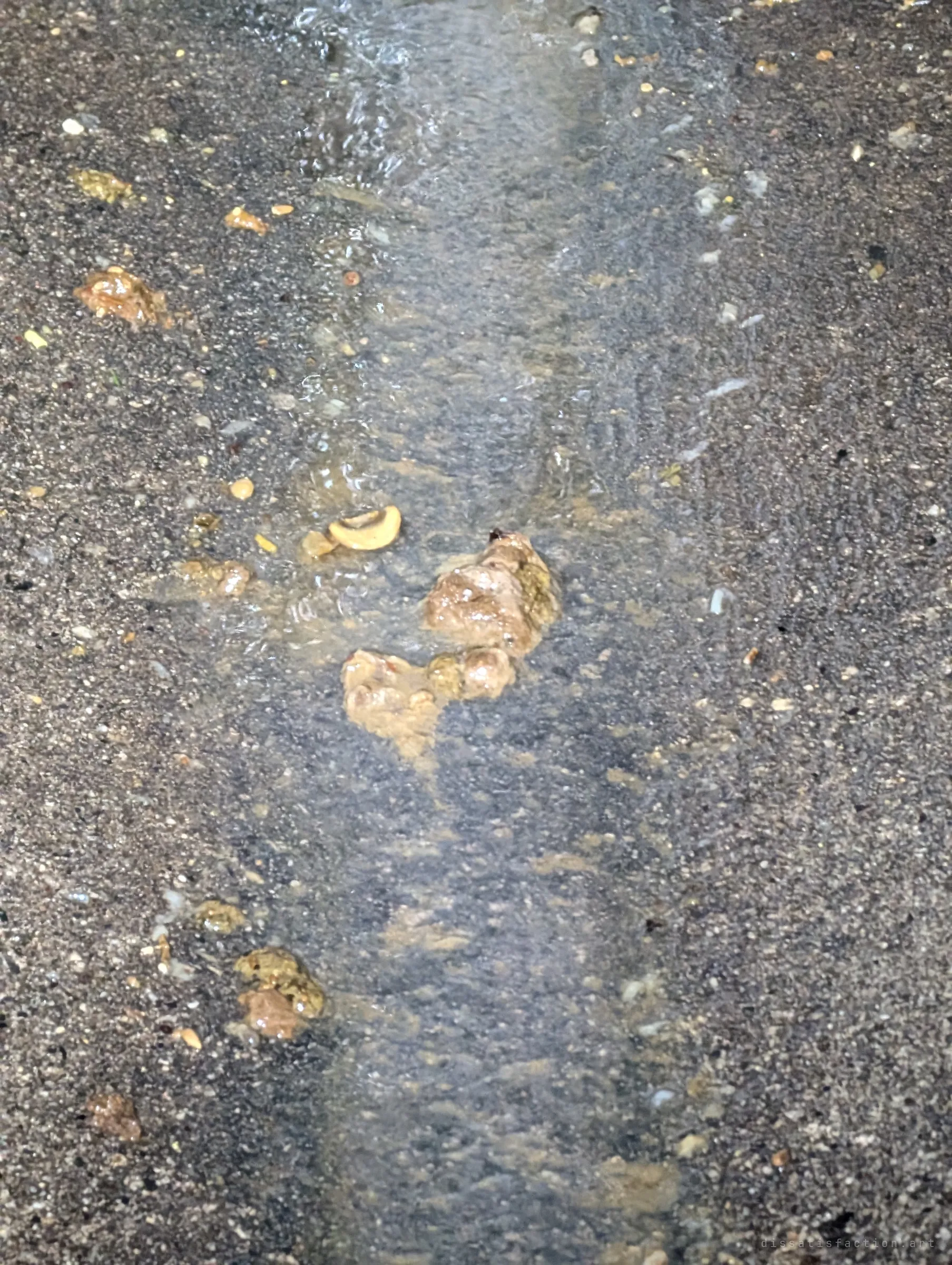 Close-up of the drain floor where a thin stream of water carries clumps of sewage past gravel and grit. A sign that sanitary flow is leaking into what should be a storm channel.