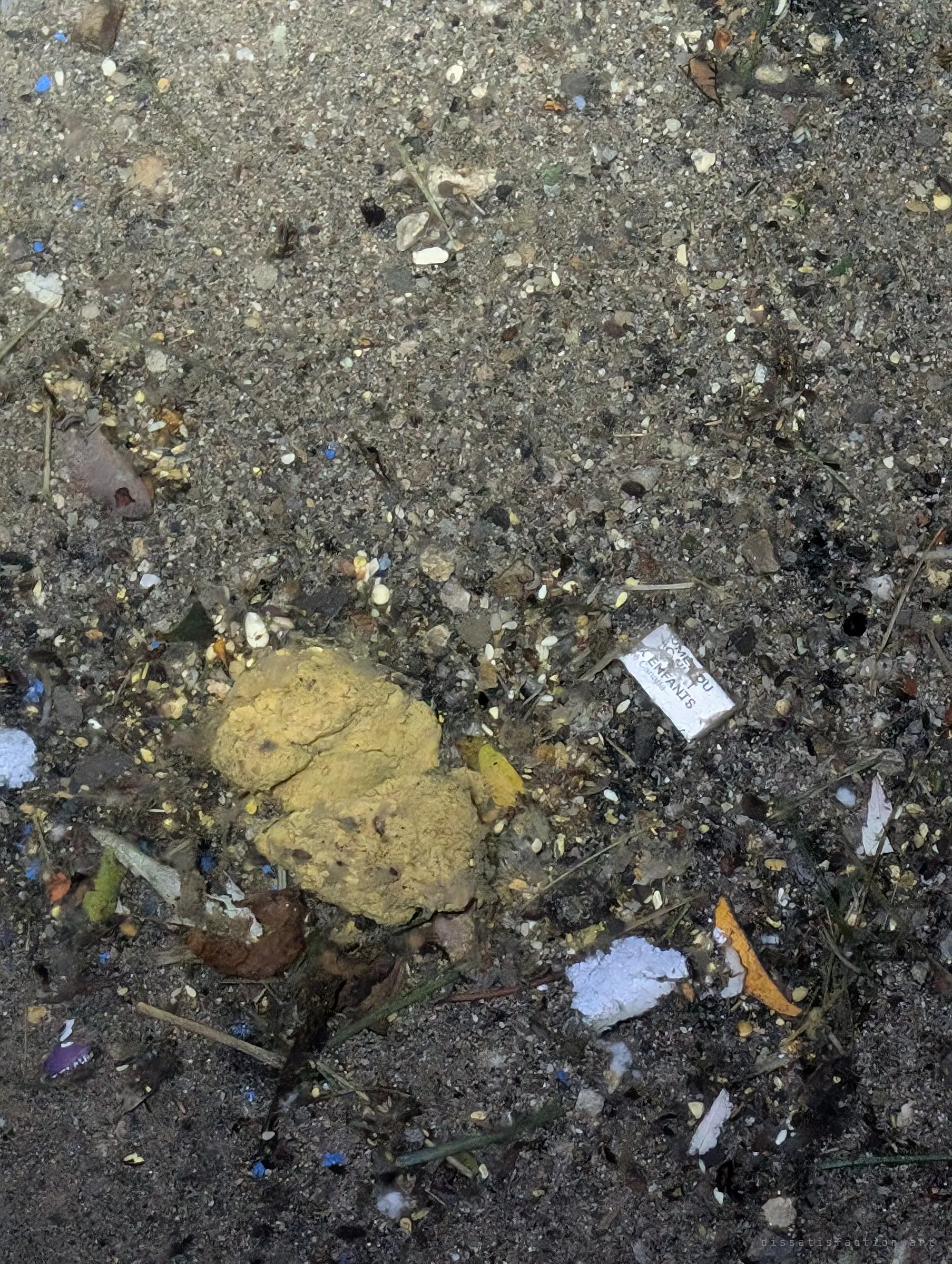 Silt on the drain floor littered with a yellow lump of waste, plastic flecks, a scrap of packaging and bits of foam. More evidence of what gets flushed down into the tunnel.