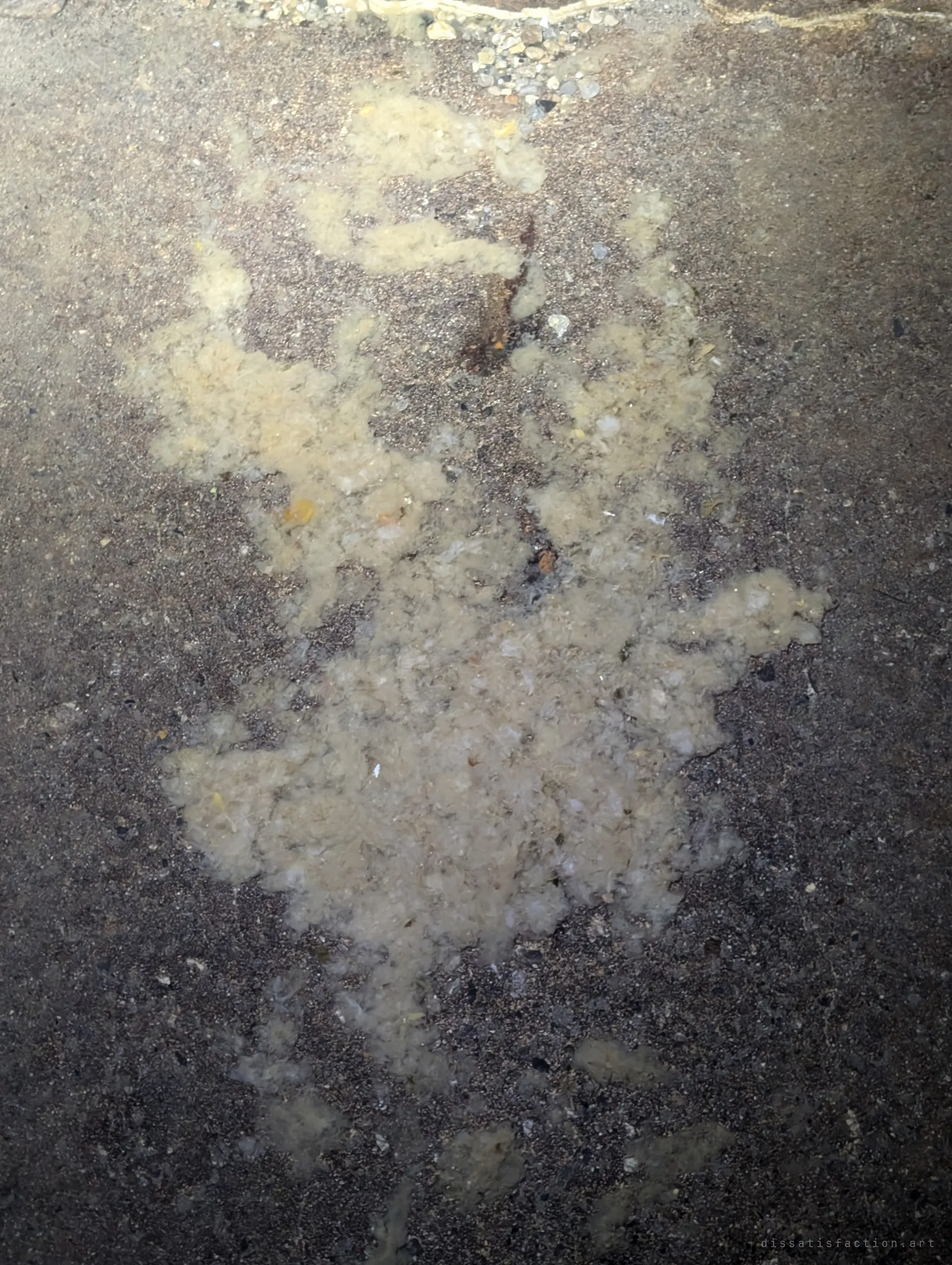 A pale, fibrous smear of waste spread across the wet concrete invert, lit by a flashlight from above.