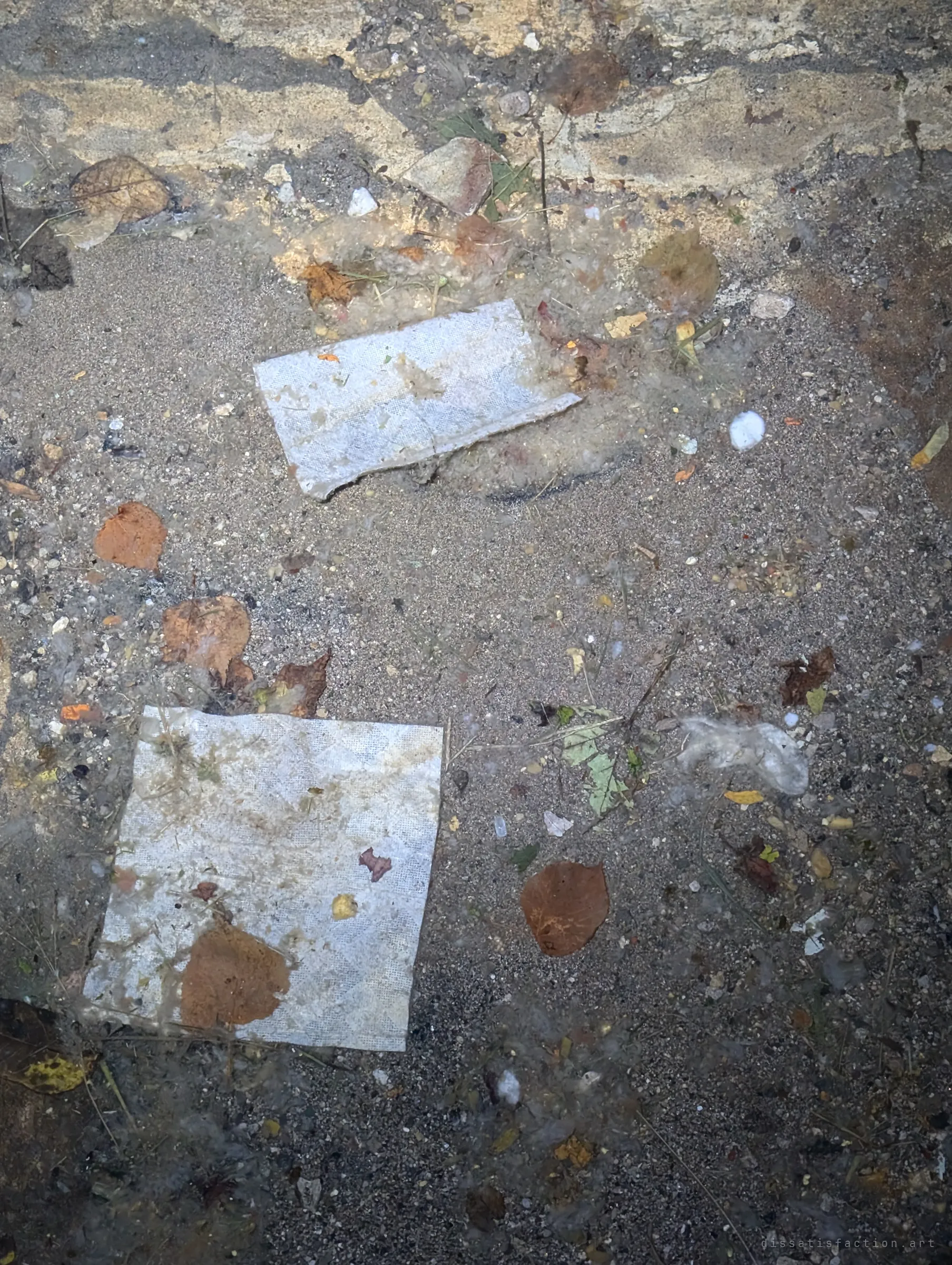 Two soggy paper towels lie among dead leaves and grit where the drain floor meets the wall, washed in by the last flow.