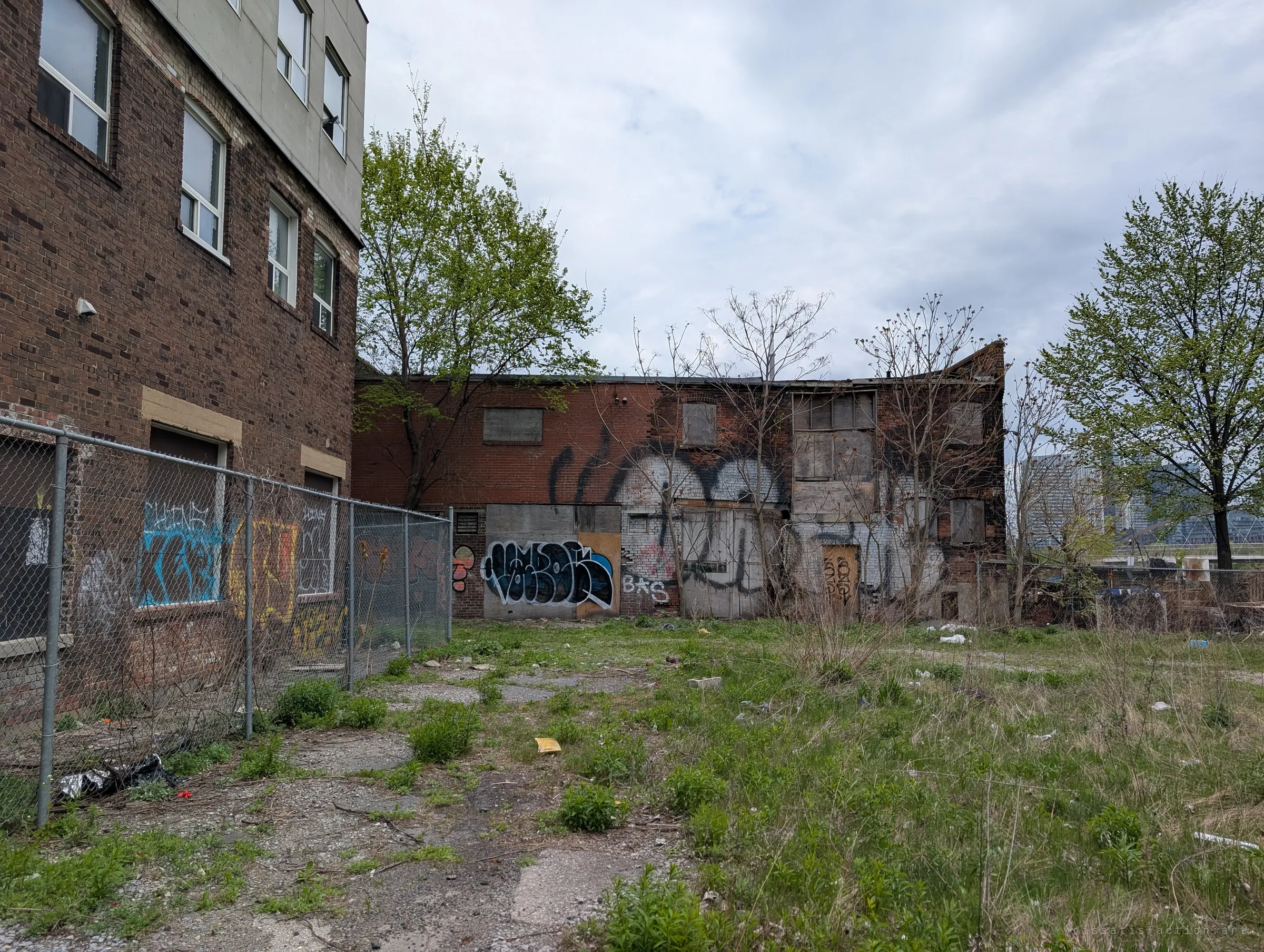 An overgrown vacant lot leads to the graffiti-covered, boarded-up back wall of the building under a grey sky. It sets the scene before going inside.
