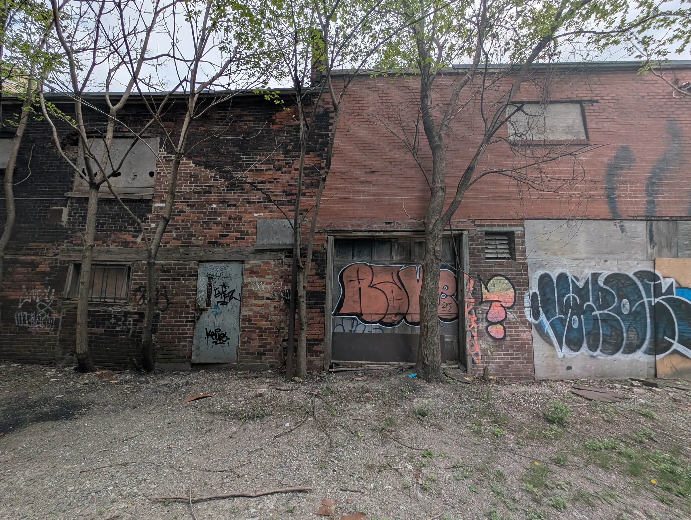 Young trees grow in front of a patched brick wall with a steel door, a graffiti-covered loading door and boarded plywood. The exterior shows how long the place has been left alone.