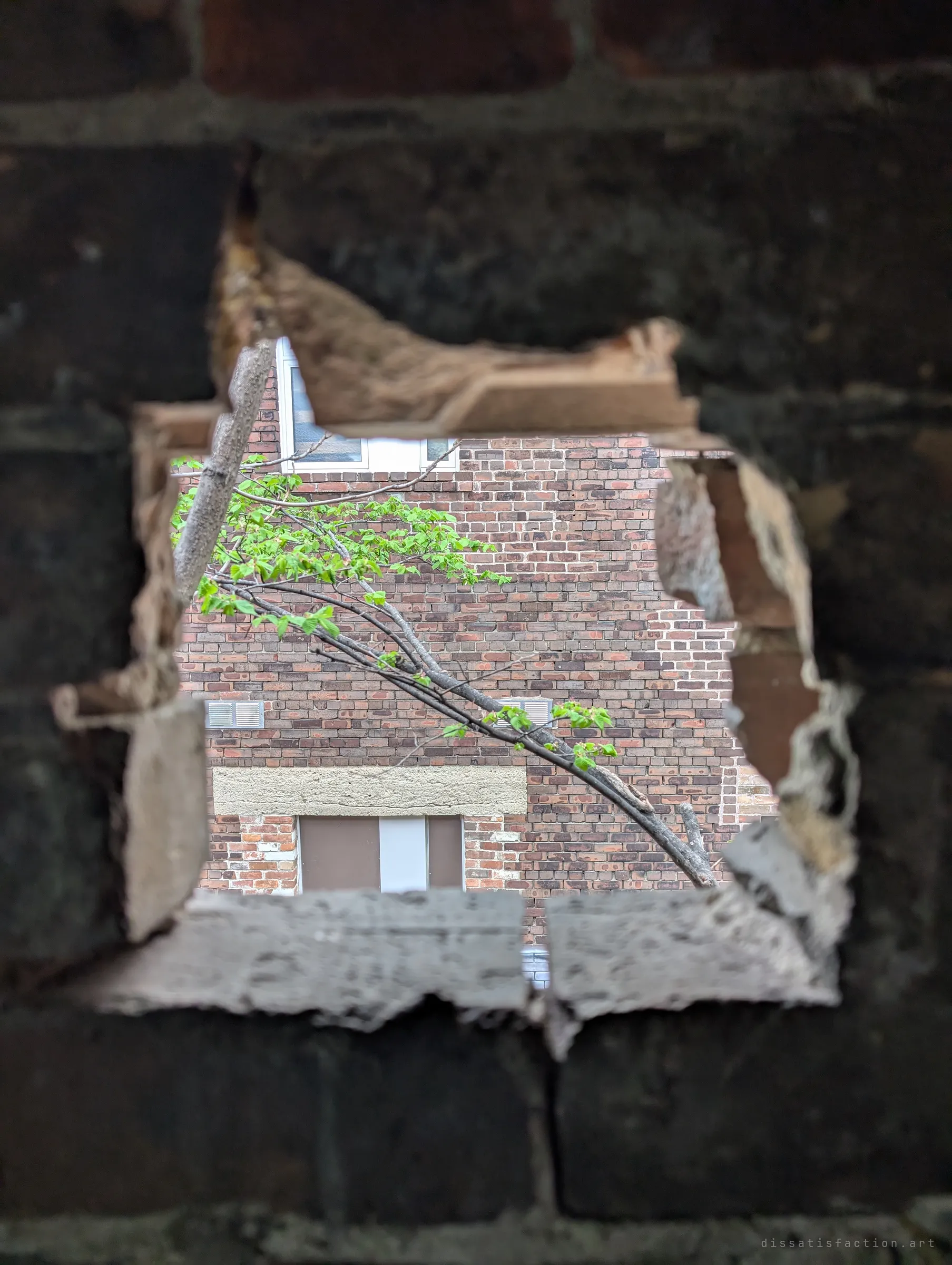 A ragged hole broken through a dark masonry wall frames a spring branch in front of a neighbouring brick building. The one glimpse of the outside world from deep inside the ruin.