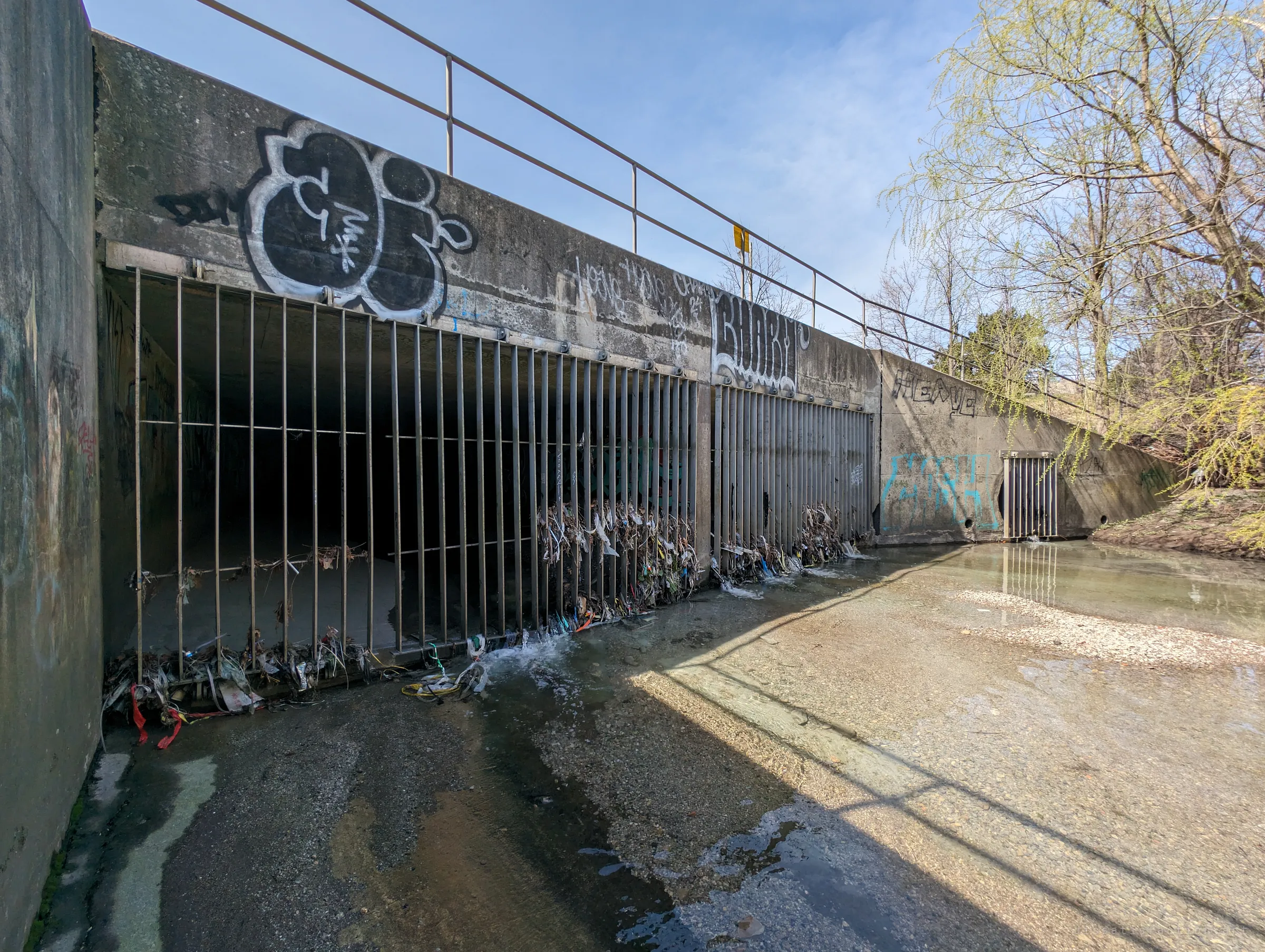 The barred concrete inlet of a storm drain in spring sunlight, debris snagged on the bars and graffiti along the headwall. This is the way in, where the creek disappears underground.