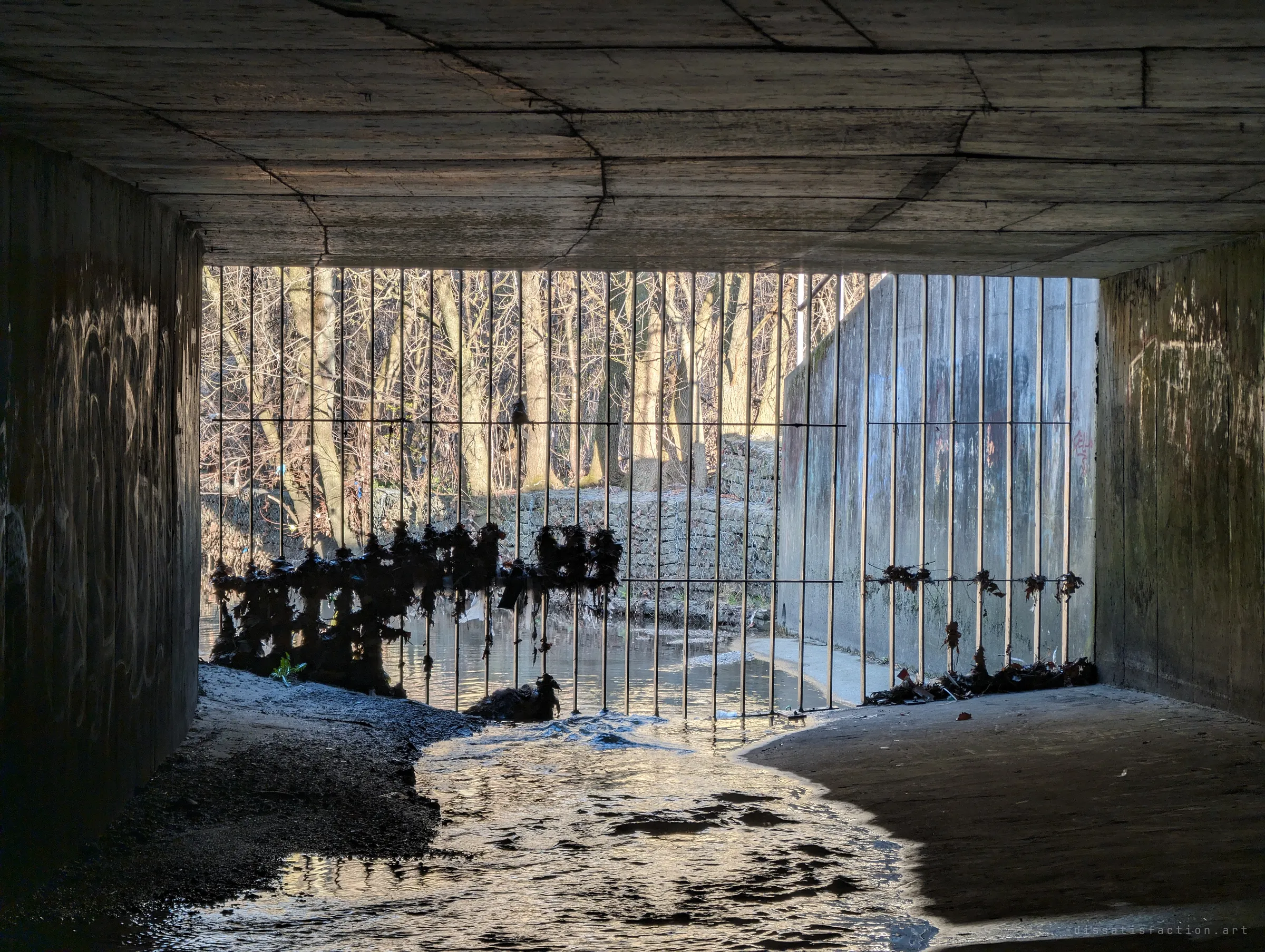 Looking out from inside the box culvert through the bars at sunlit trees, with rags of debris hanging from the grate. Daylight glows on the water at the threshold.
