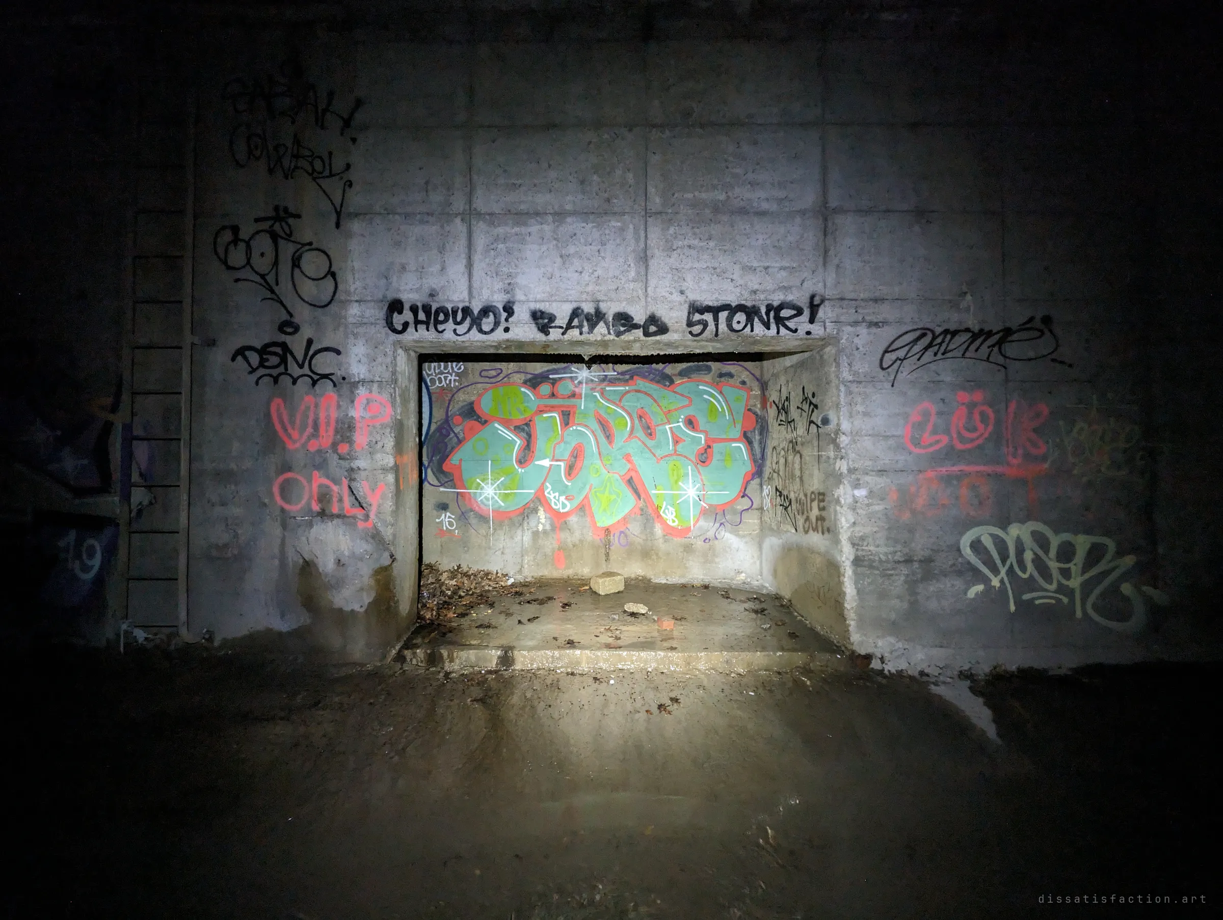 A recessed alcove in the drain wall framing a bright graffiti piece, surrounded by tags and a rusted ladder climbing into the darkness on the left.