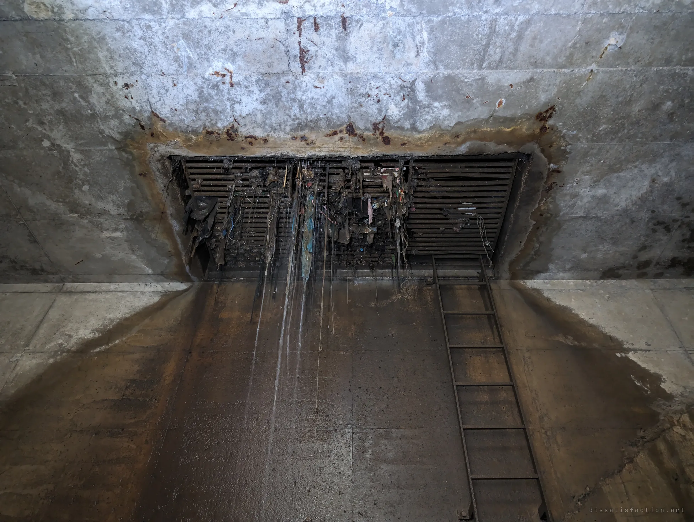 Looking up at a rusted overhead grate clogged with rags and plastic, water dripping down a stained wall beside a steel ladder. Everything the street sends down ends up hanging here.
