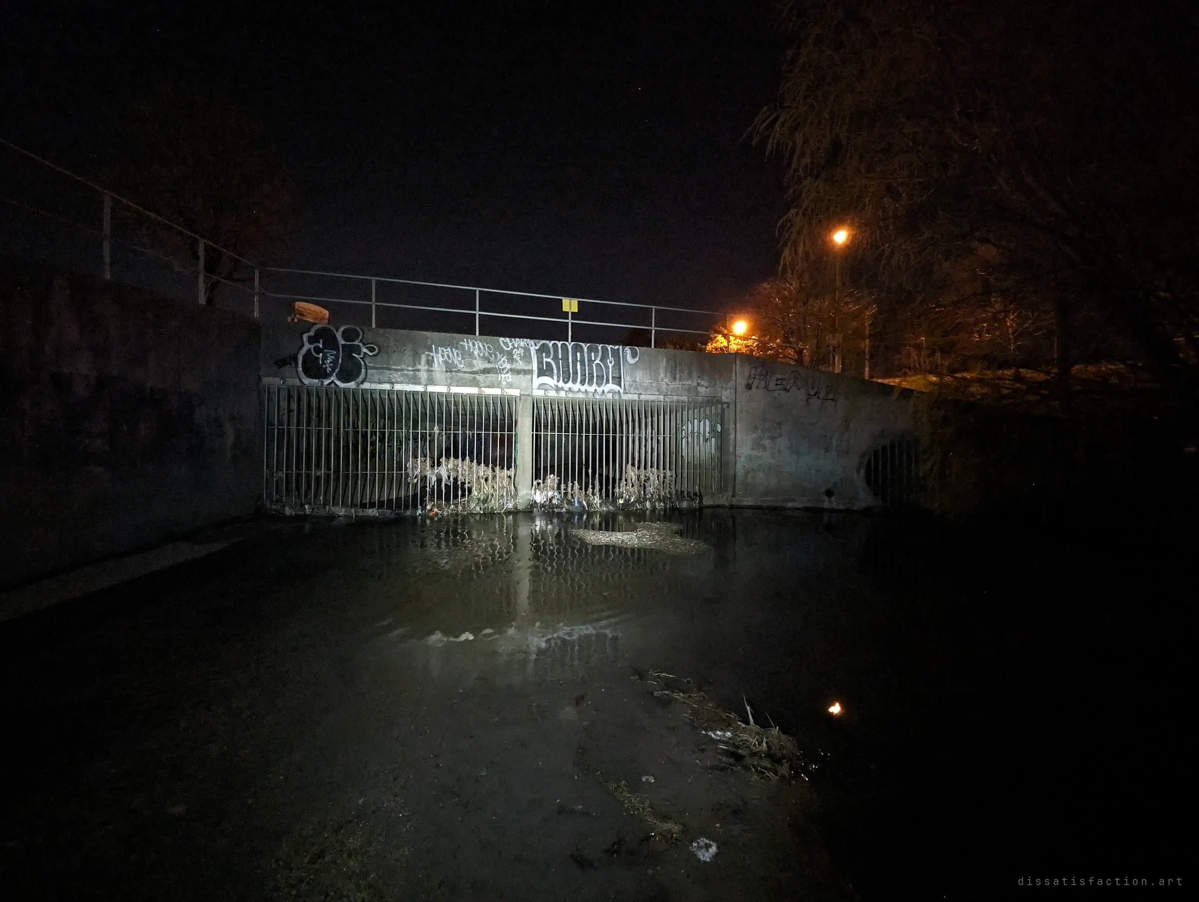 At night, a graffiti-covered concrete headwall with barred gates holds back a pool of dark water, a street light glowing behind the trees. This is the drain's outside mouth.