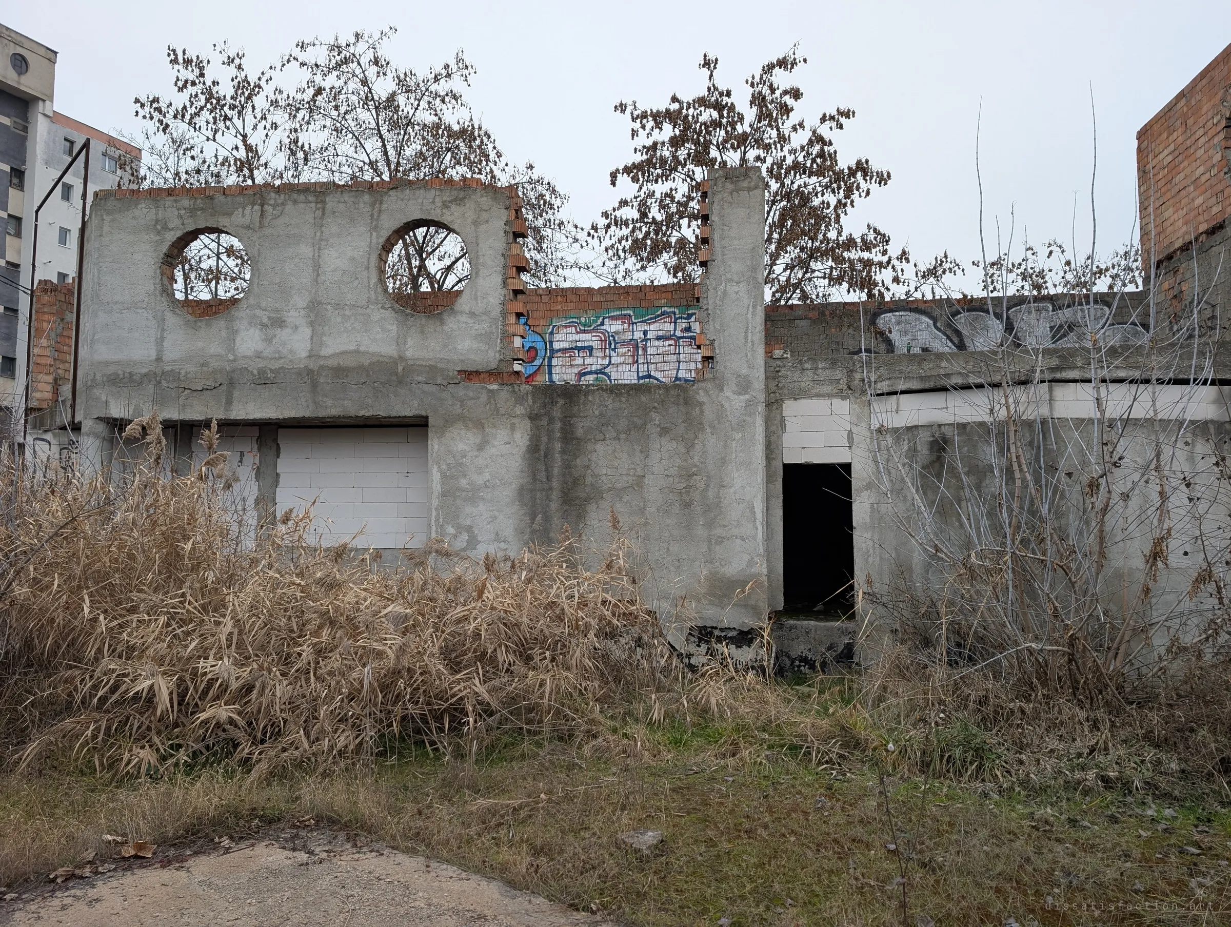 The unfinished rear of the complex: a raw concrete wall with two round openings, graffiti and blocked-up doorways sunk in dry reeds. Shows the extension that was never completed.