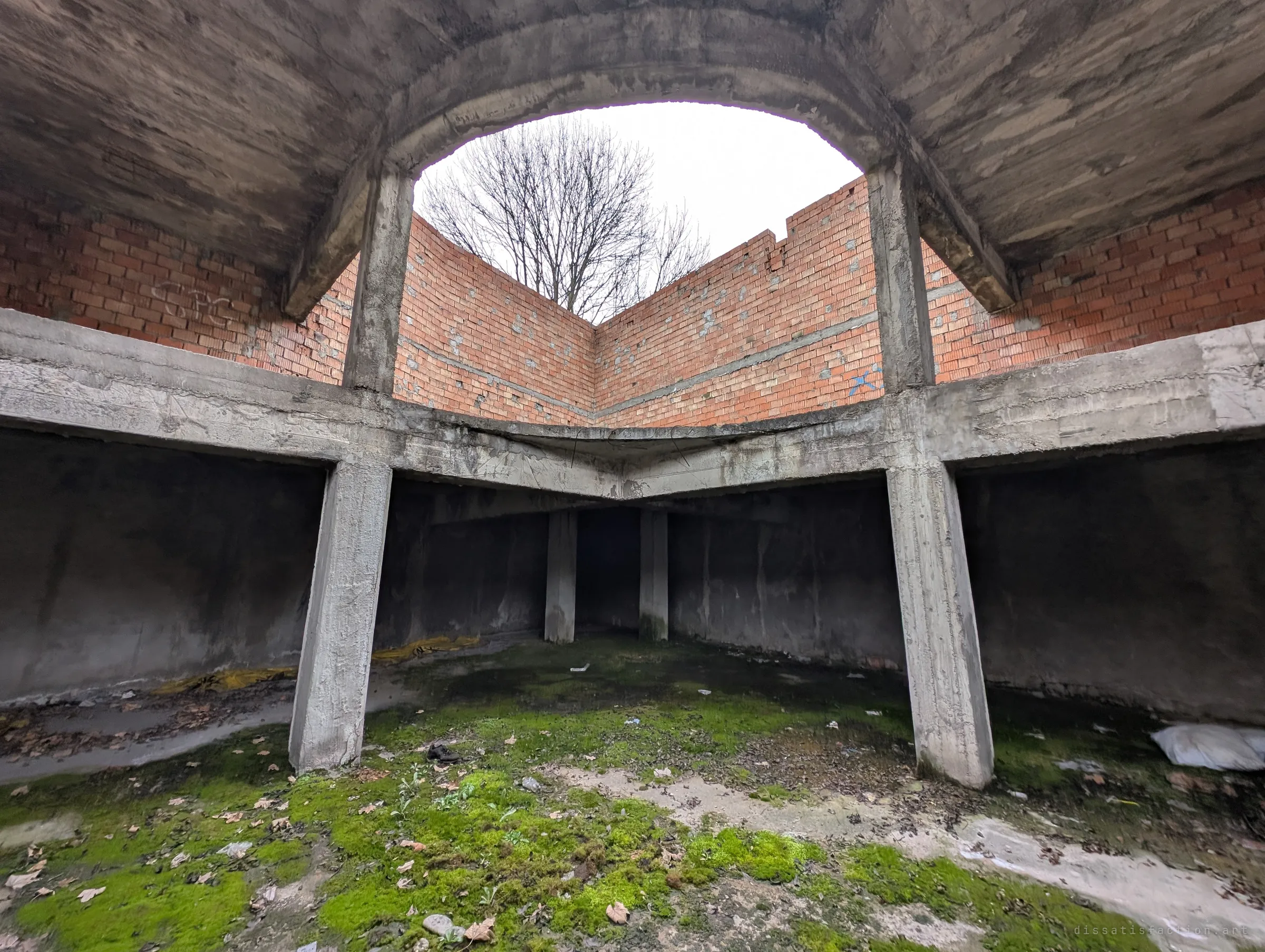 Looking up through an arched gap in the concrete ceiling to a bare tree and grey sky, pillars standing in a mossy, open ground floor. The unfinished structure frames the sky like a courtyard.