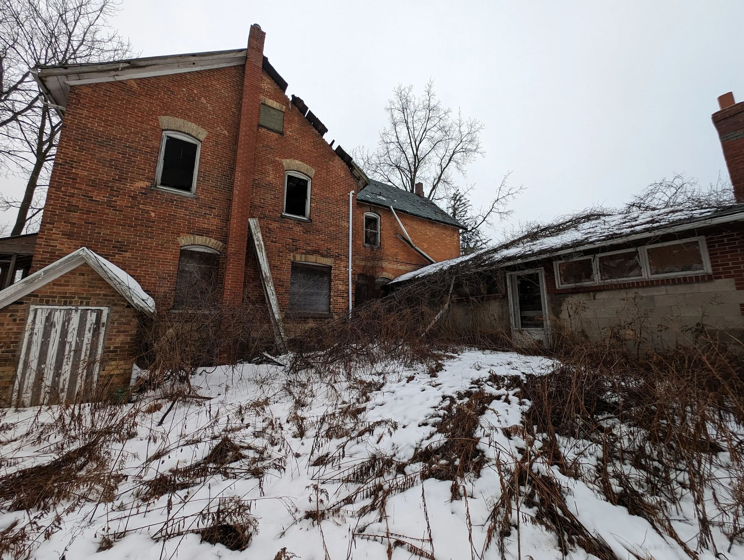 The rear of the house seen from an ultra-wide low angle: a leaning chimney stack, broken windows, a rotting roofline and a fallen tree draped over a low block addition. Dead brush pokes through the snow in the foreground.