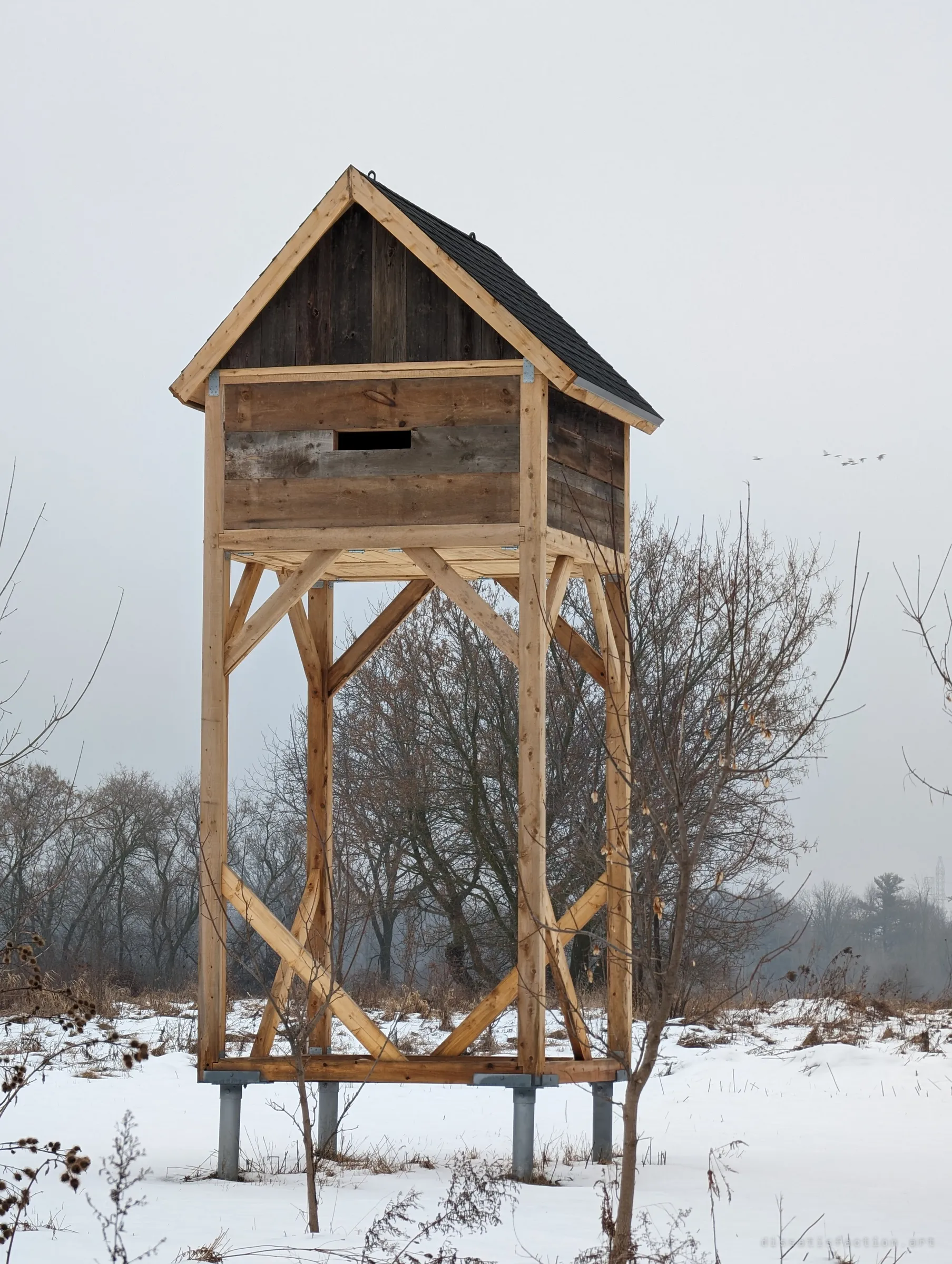 A tall, freshly built wooden tower on braced timber legs and steel posts, with a small slit-windowed room under a shingled roof, standing alone in a snowy field. Geese cross the misty sky to the right.