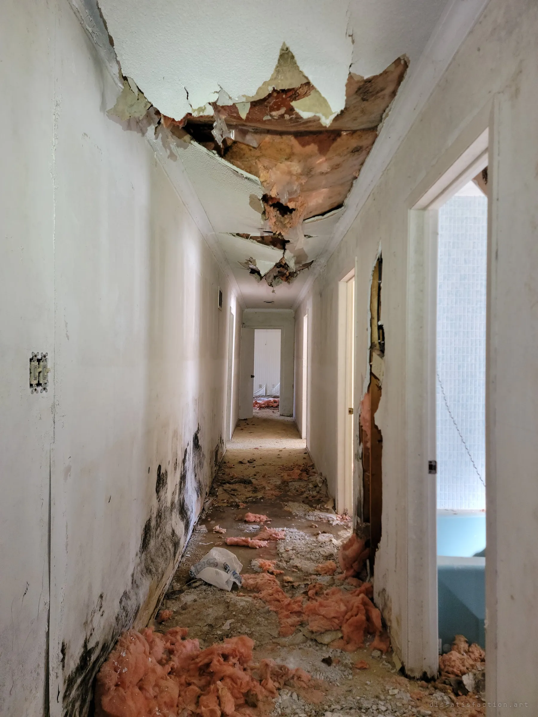 A narrow hallway runs away under a ceiling torn open, pink insulation spilling across the floor and black mould climbing the walls. A pale blue bathroom glows through the doorway on the right.