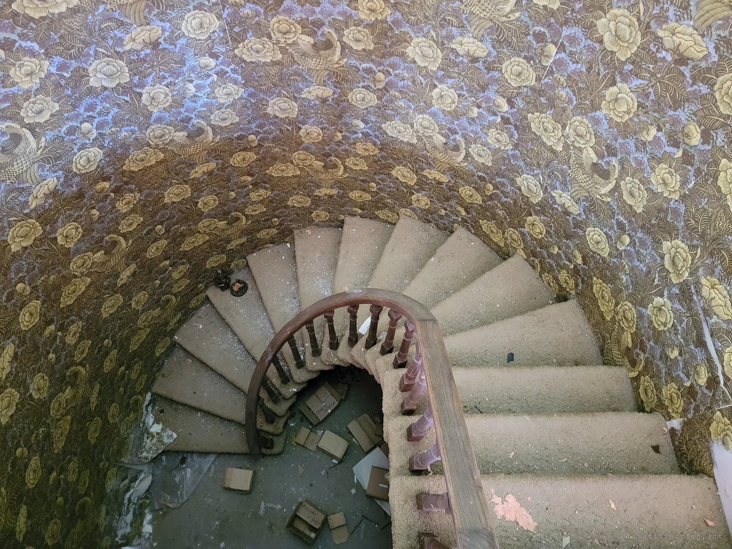 Looking straight down a carpeted spiral staircase wrapped in dark floral bird wallpaper, with loose cardboard boxes scattered on the floor far below. The curve pulls the eye into the stairwell.