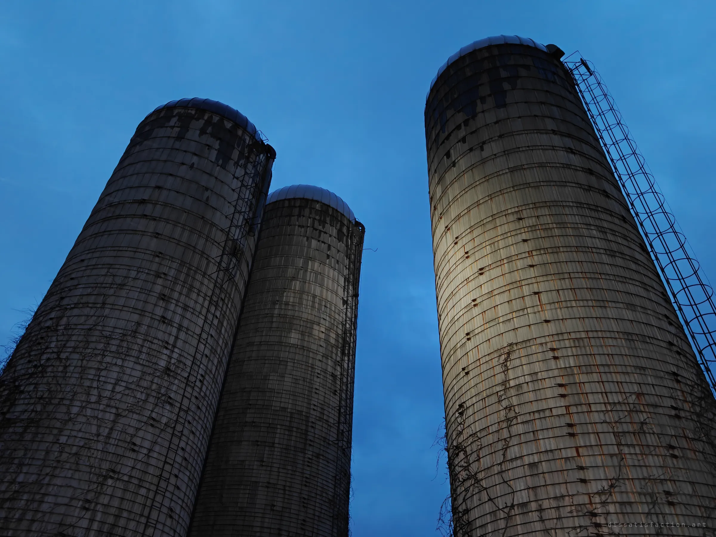 Three weathered concrete-stave silos tower against a blue evening sky, streaked with rust and climbing vines. The low angle makes them loom like monuments.