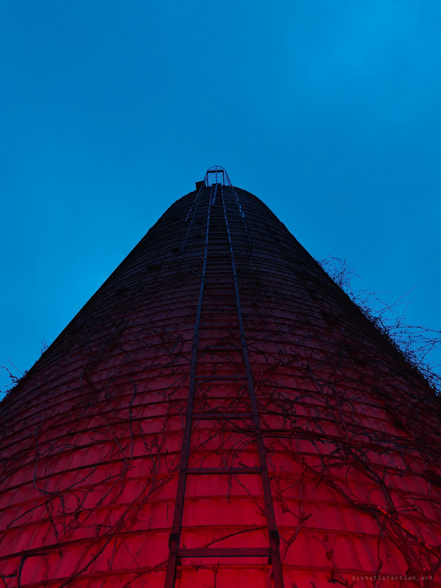 Looking straight up a silo lit red at its base, a caged ladder climbs through bare vines toward the dark top. The deep blue sky frames its height.