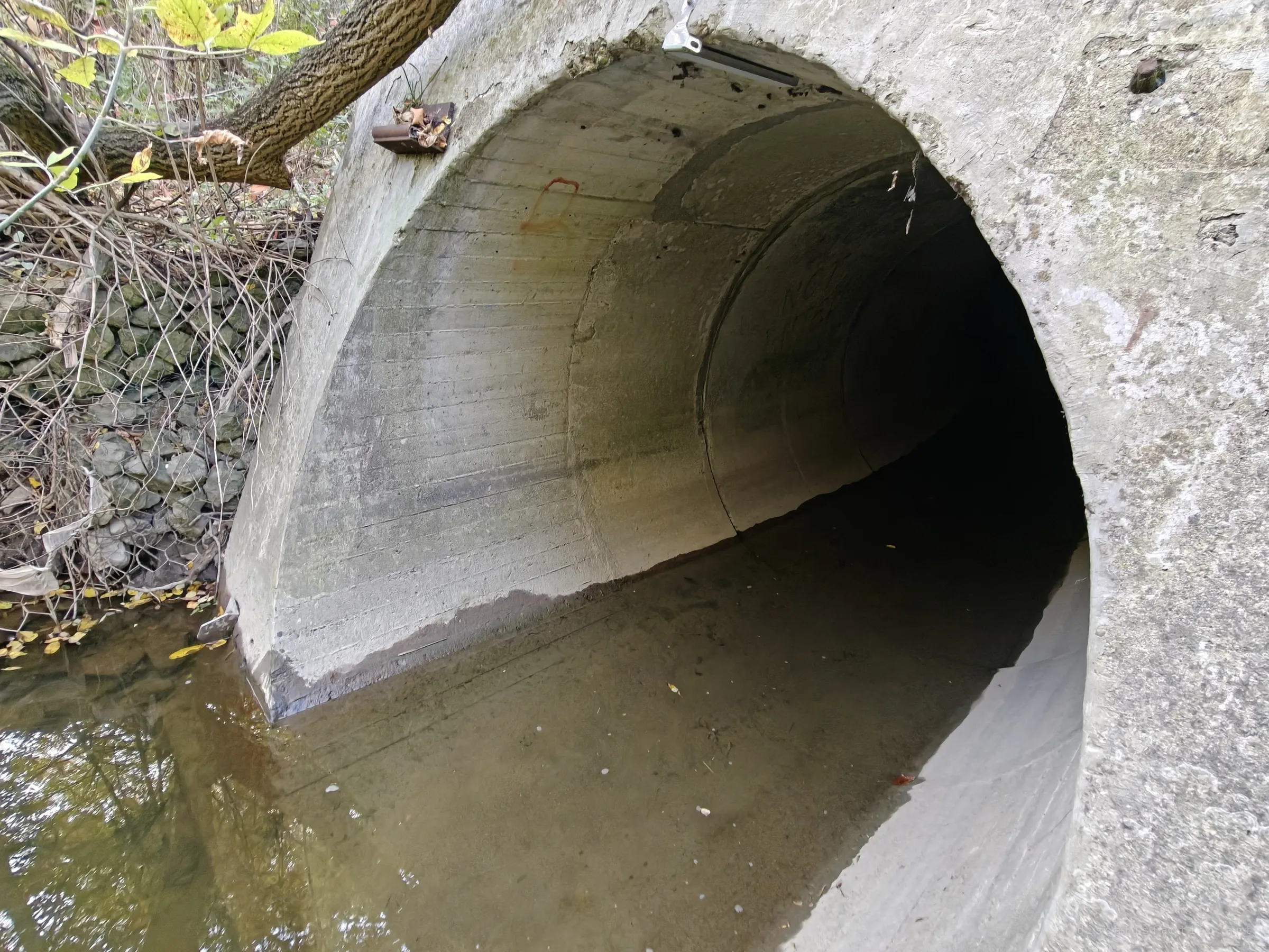 The mouth of a concrete culvert opening onto a shallow creek, with an overhanging branch, a rubble bank behind wire mesh and a mounting bracket on the lip. Murky water fills the floor and runs back into the dark.
